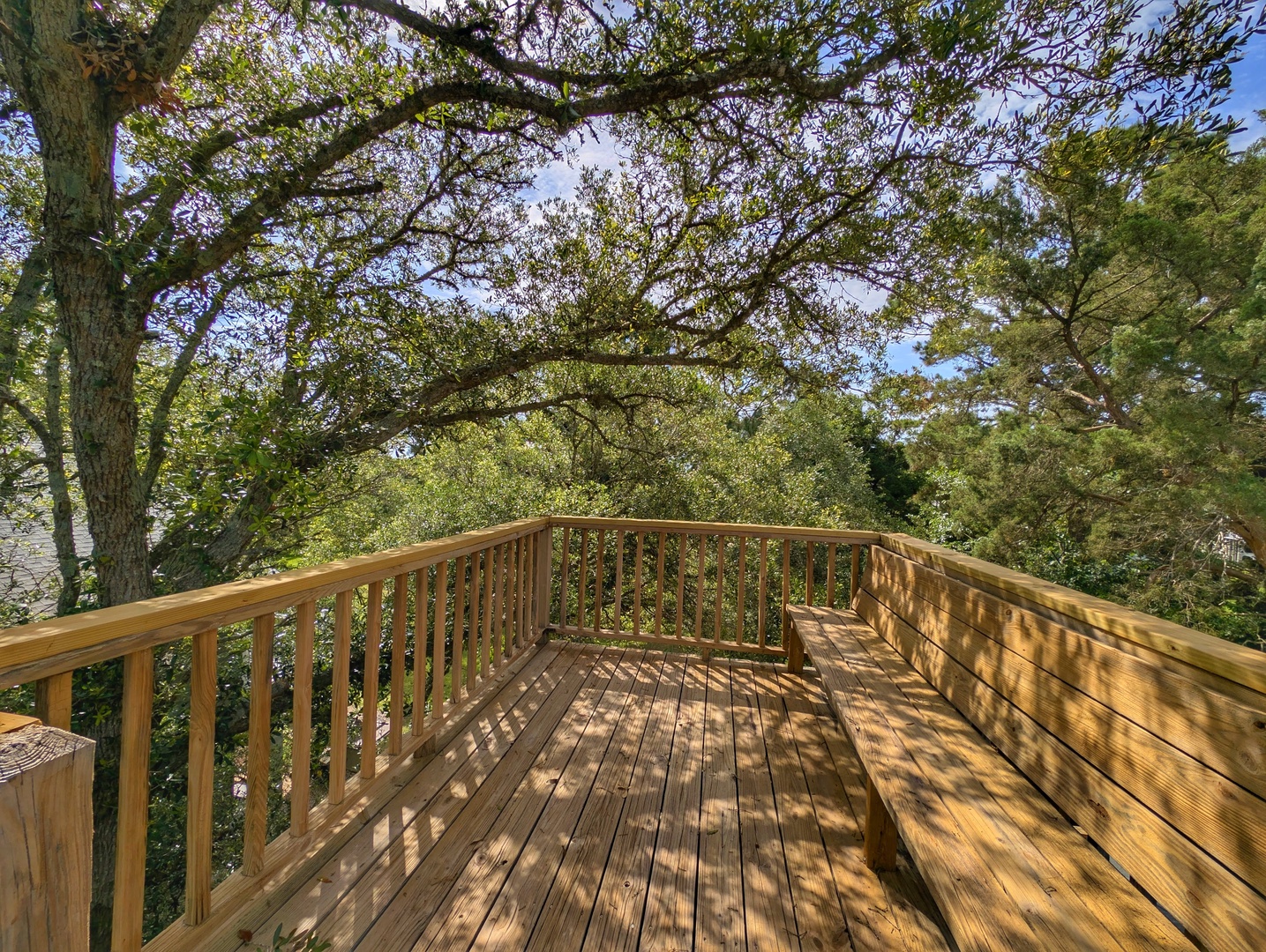 Step onto your private wooden deck and breathe in the fresh air beneath towering trees. Sunlight dapples through lush branches, creating a peaceful retreat where you can unwind surrounded by nature's beauty.