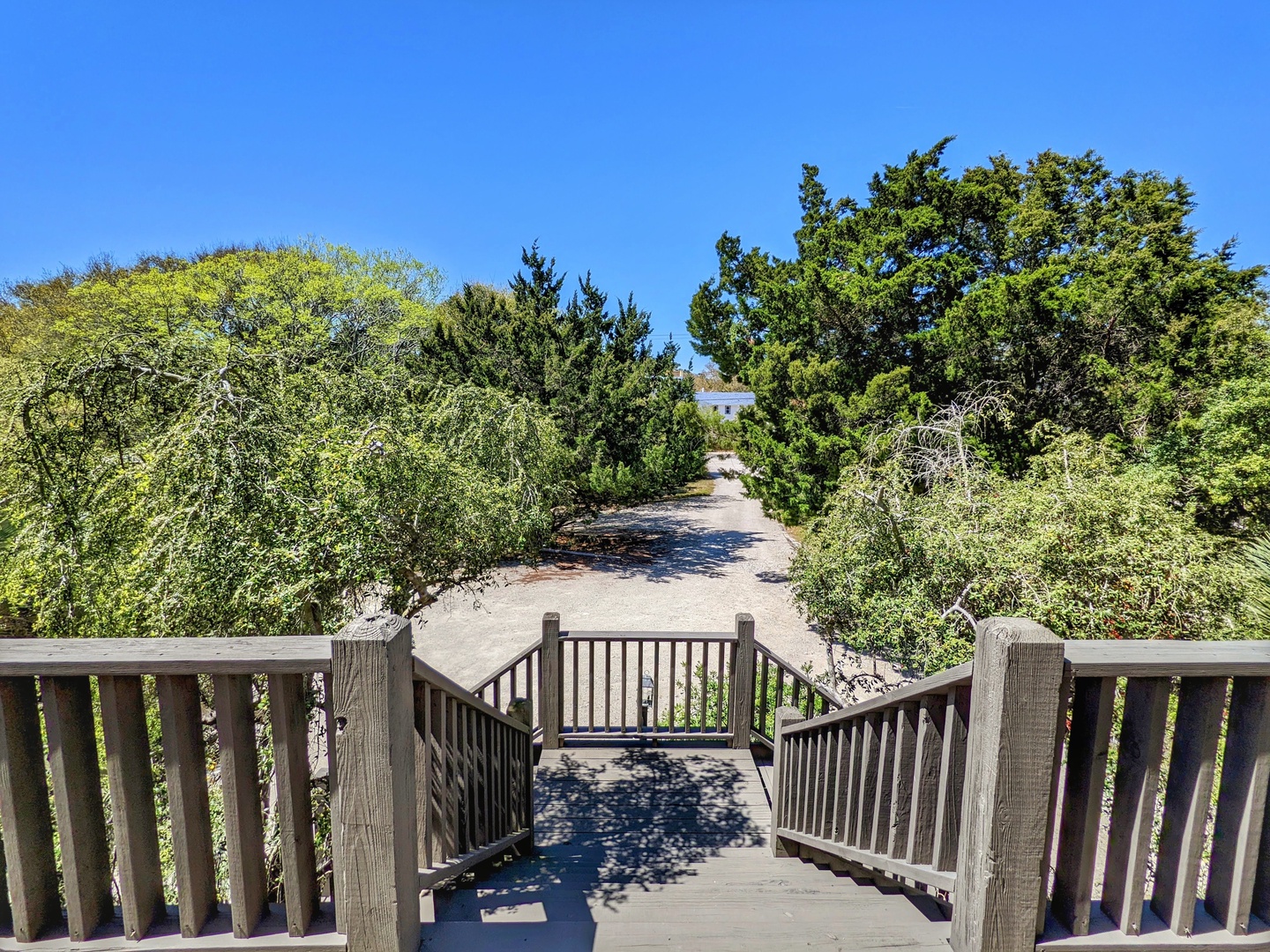 Indigo-Pelican-3-jwsre (85)