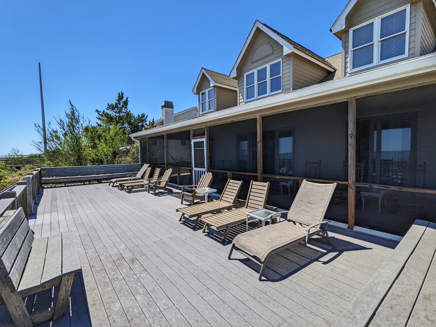 Indigo-Pelican-3-jwsre (76)