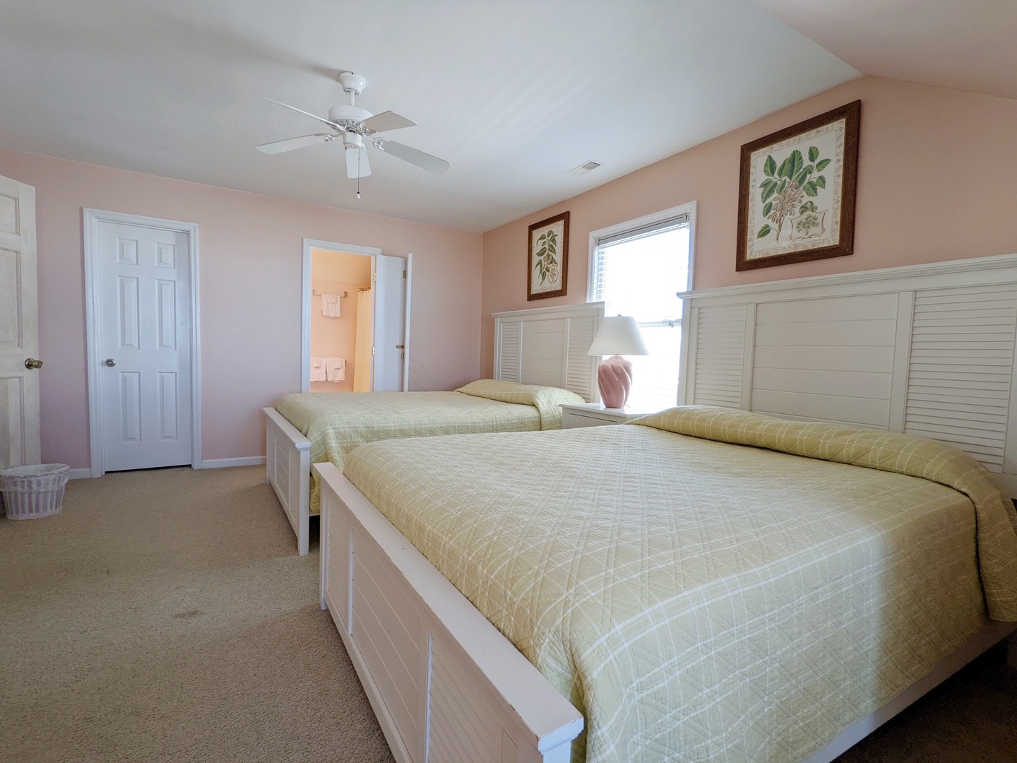 Indigo-Pelican-3-jwsre (62)