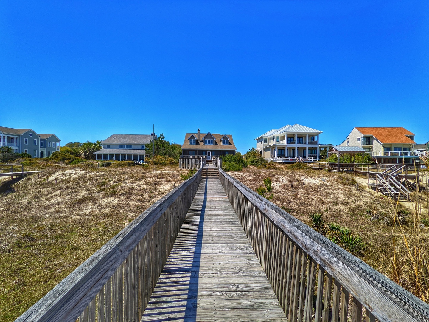 Indigo-Pelican-3-jwsre (80)