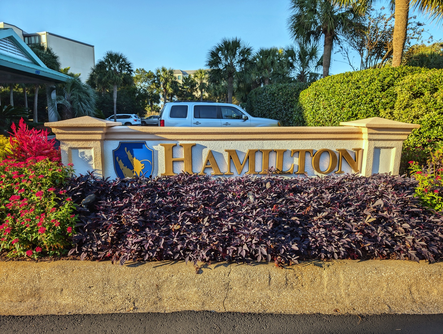 Hamilton at Somerset 502 (9)