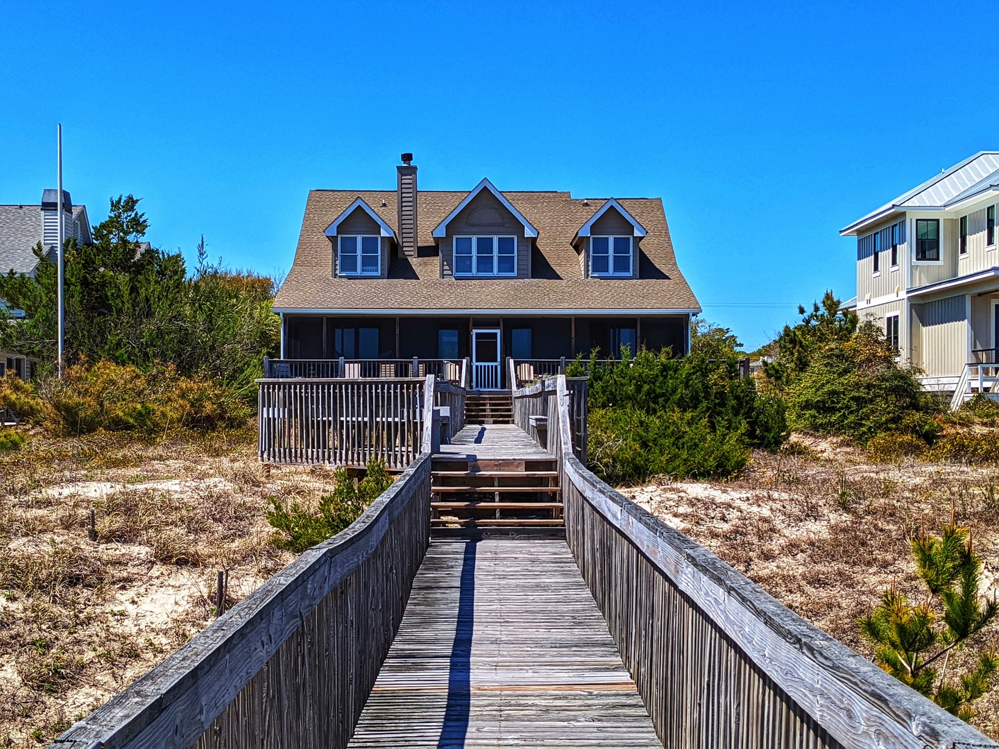 Indigo-Pelican-3-jwsre (81)