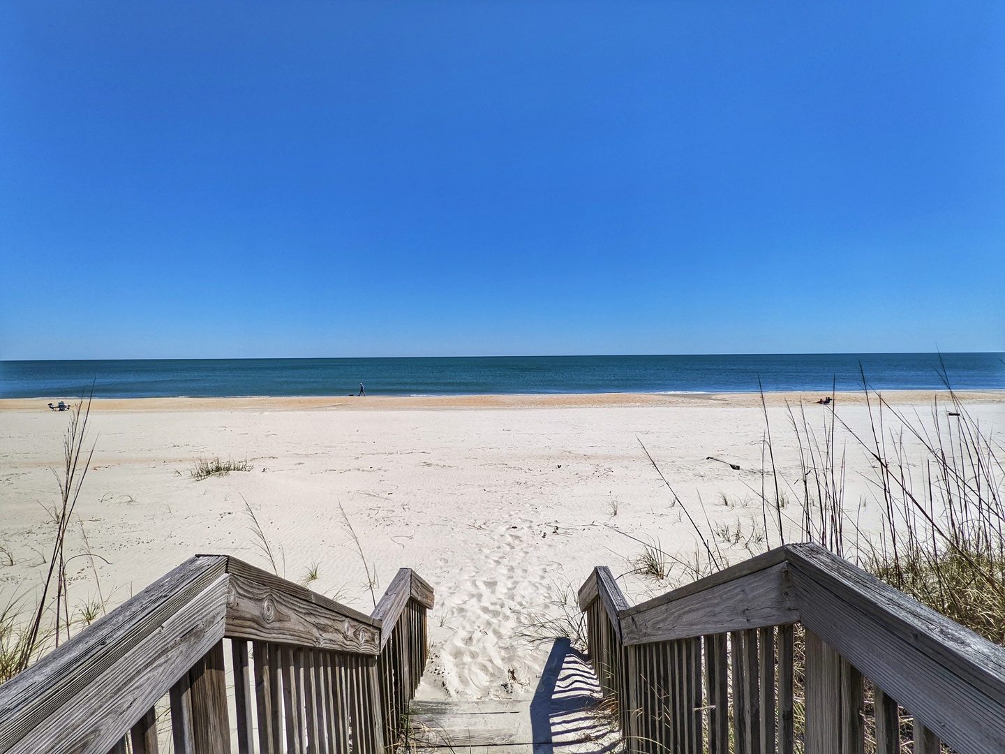 Indigo-Pelican-3-jwsre (79)