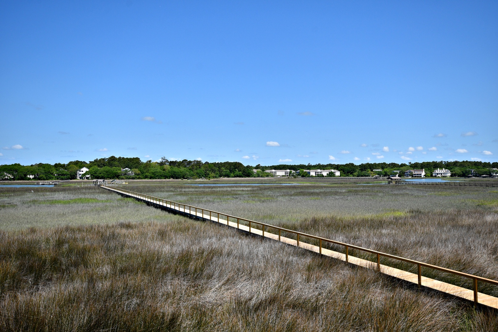 eD55_0232
