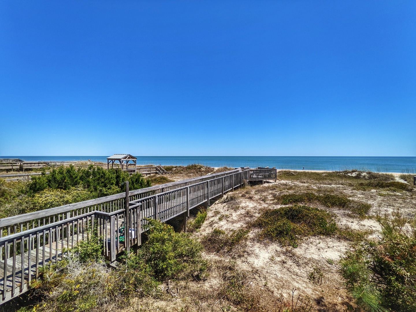 Indigo-Pelican-3-jwsre (78)