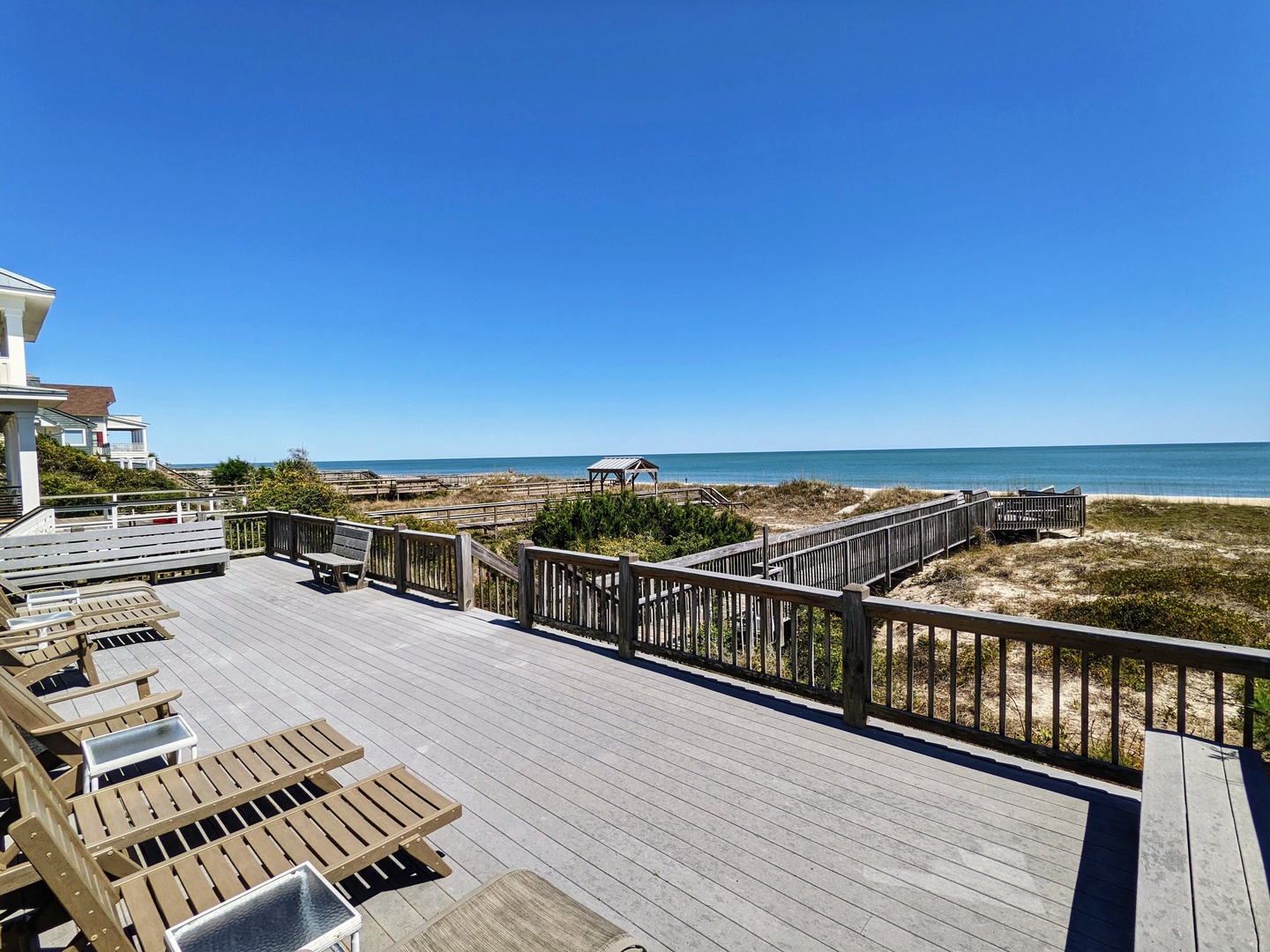 Indigo-Pelican-3-jwsre (74)