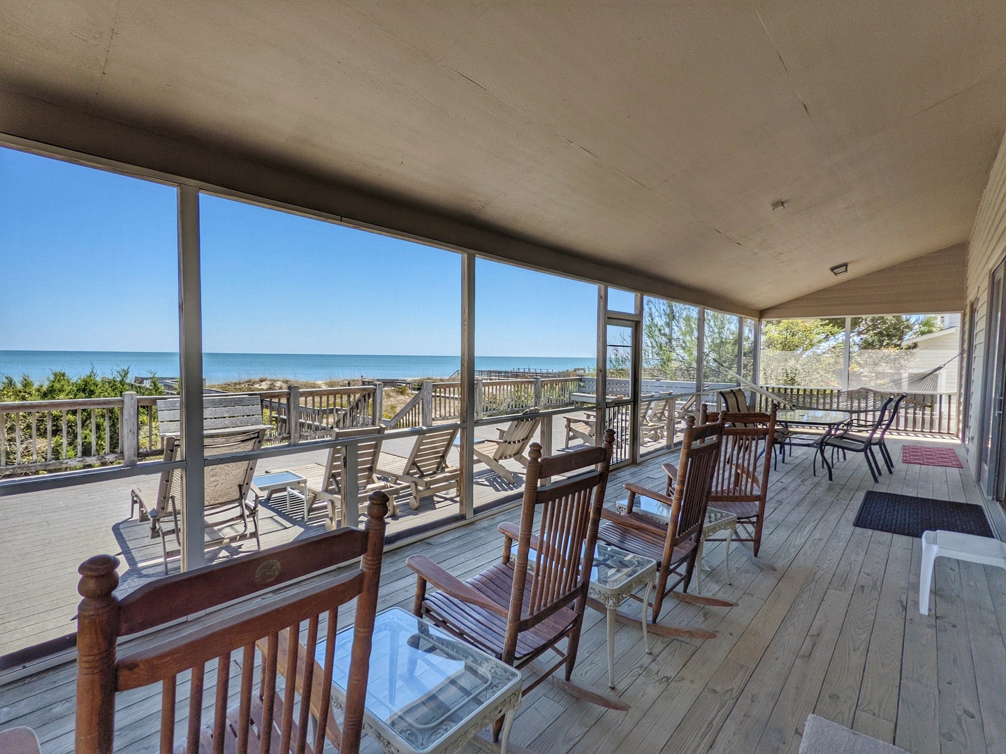 Indigo-Pelican-3-jwsre (70)