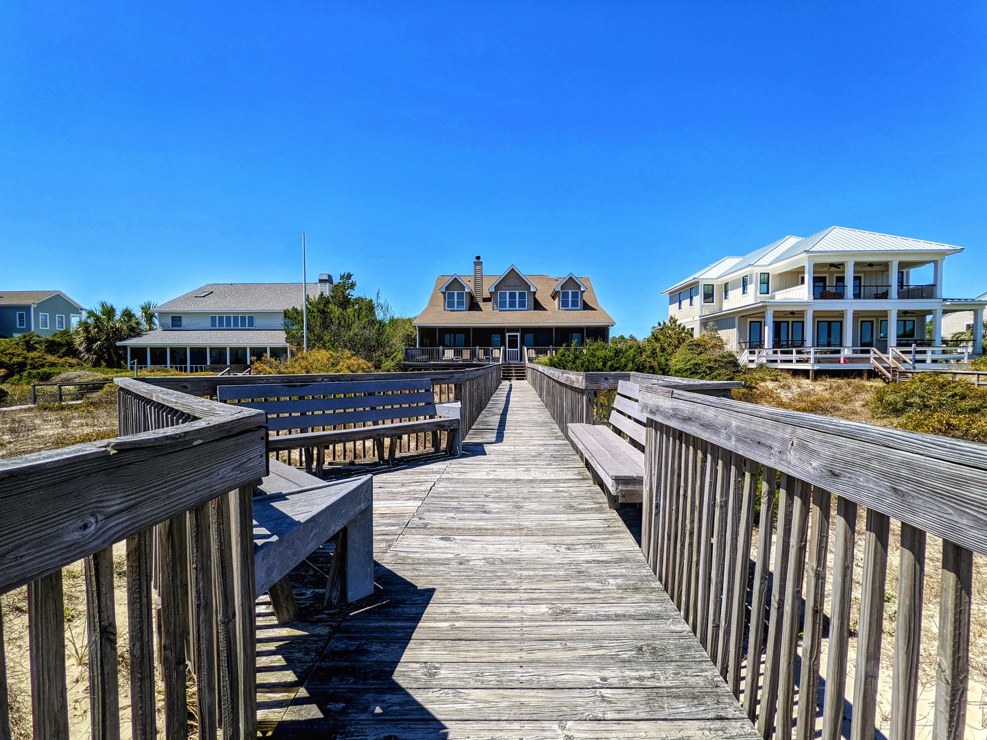 Indigo-Pelican-3-jwsre (83)