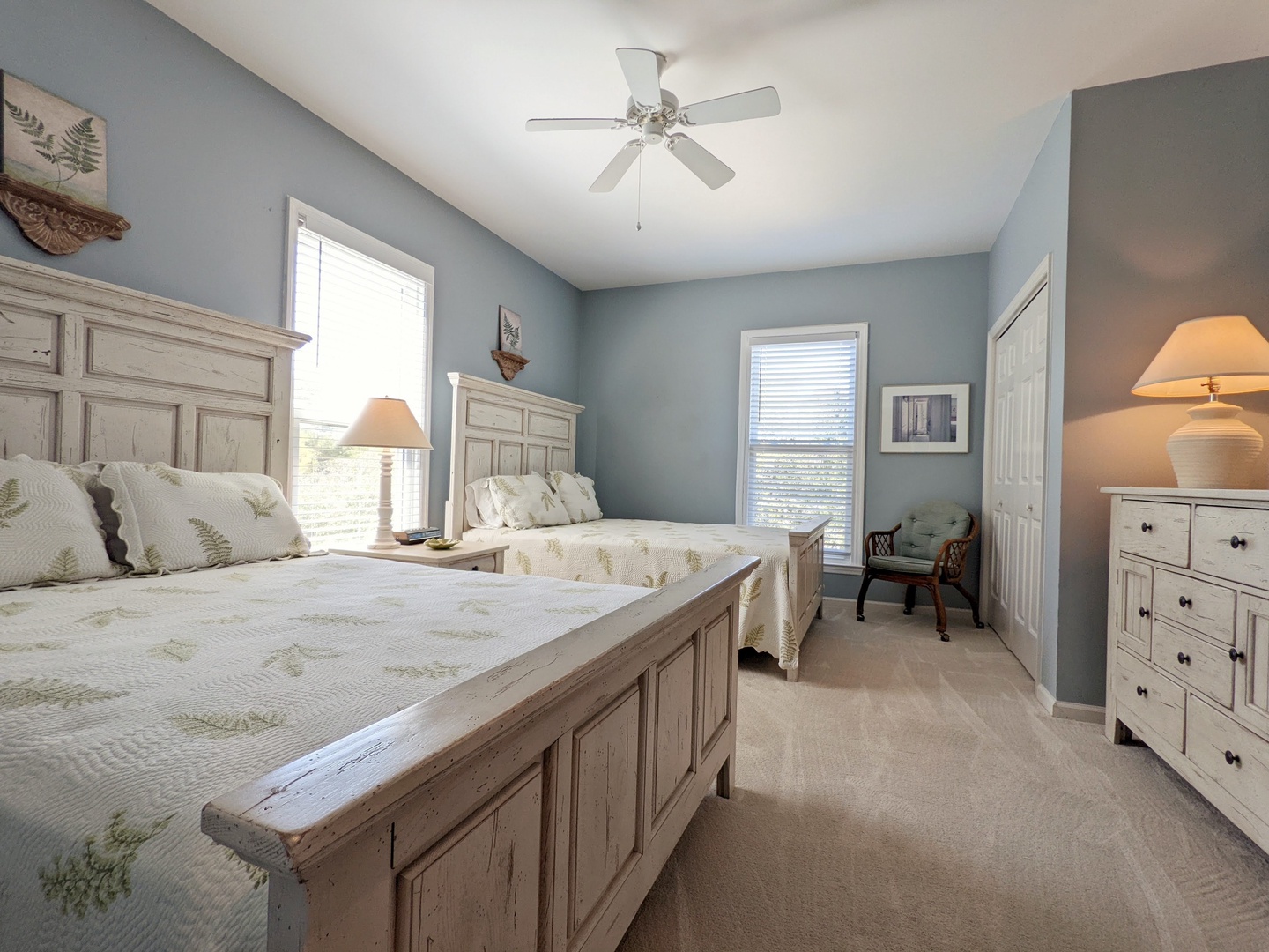 Indigo-Pelican-3-jwsre (1)