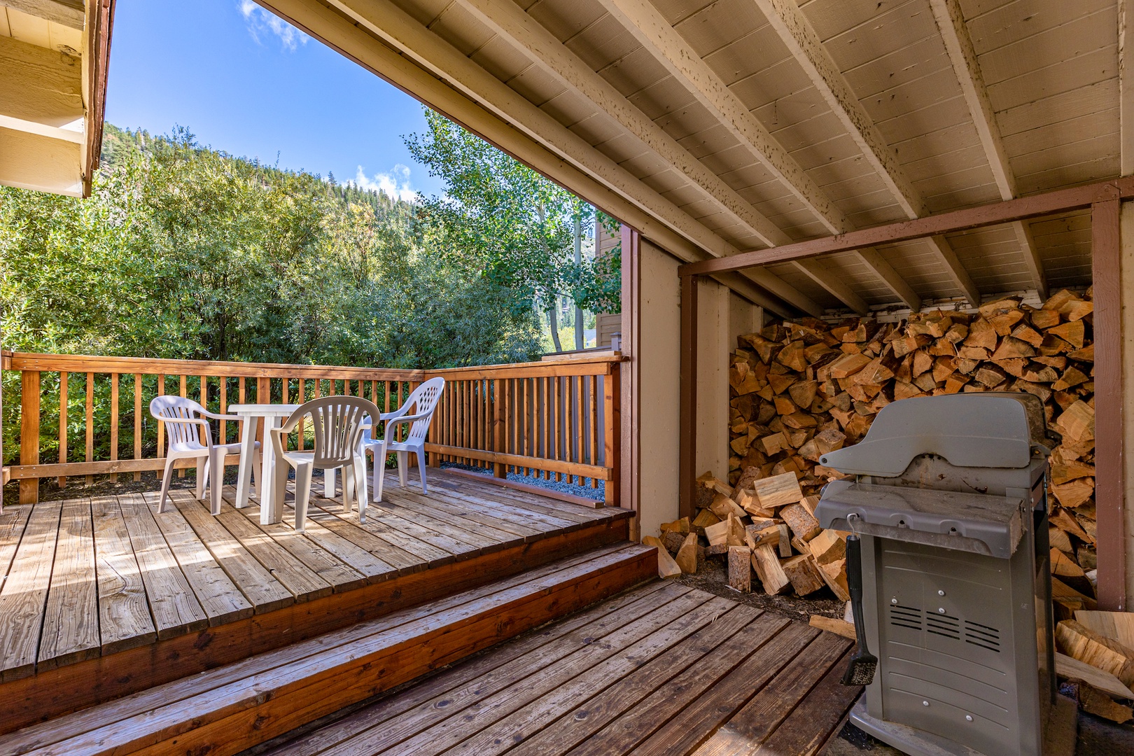 BBQ, firewood and seating area