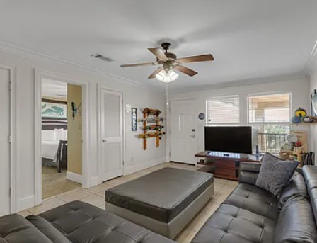Island Palms 3B