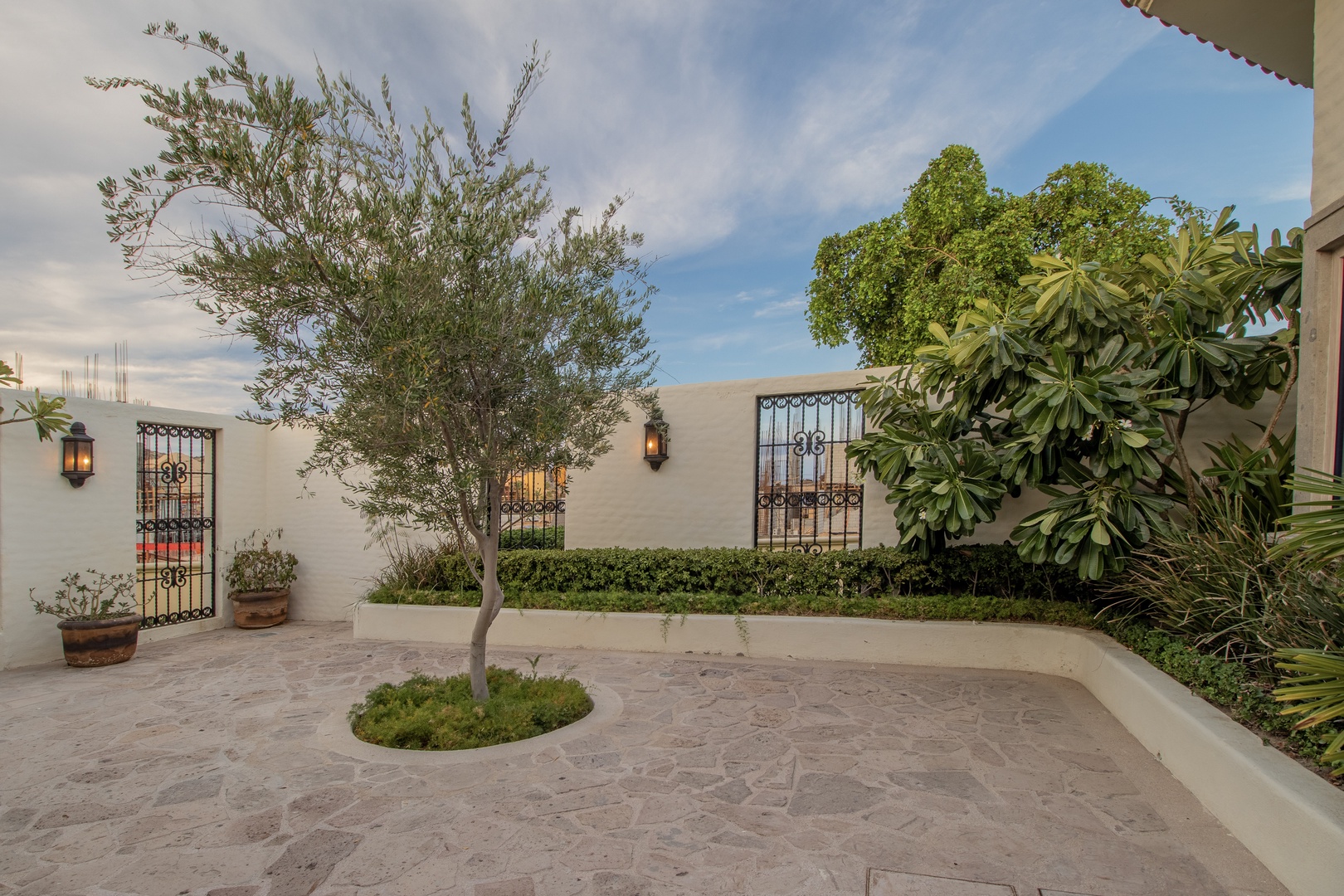 A serene private courtyard welcomes you with a graceful olive tree, lush greenery, and decorative ironwork gates—your peaceful outdoor retreat awaits.