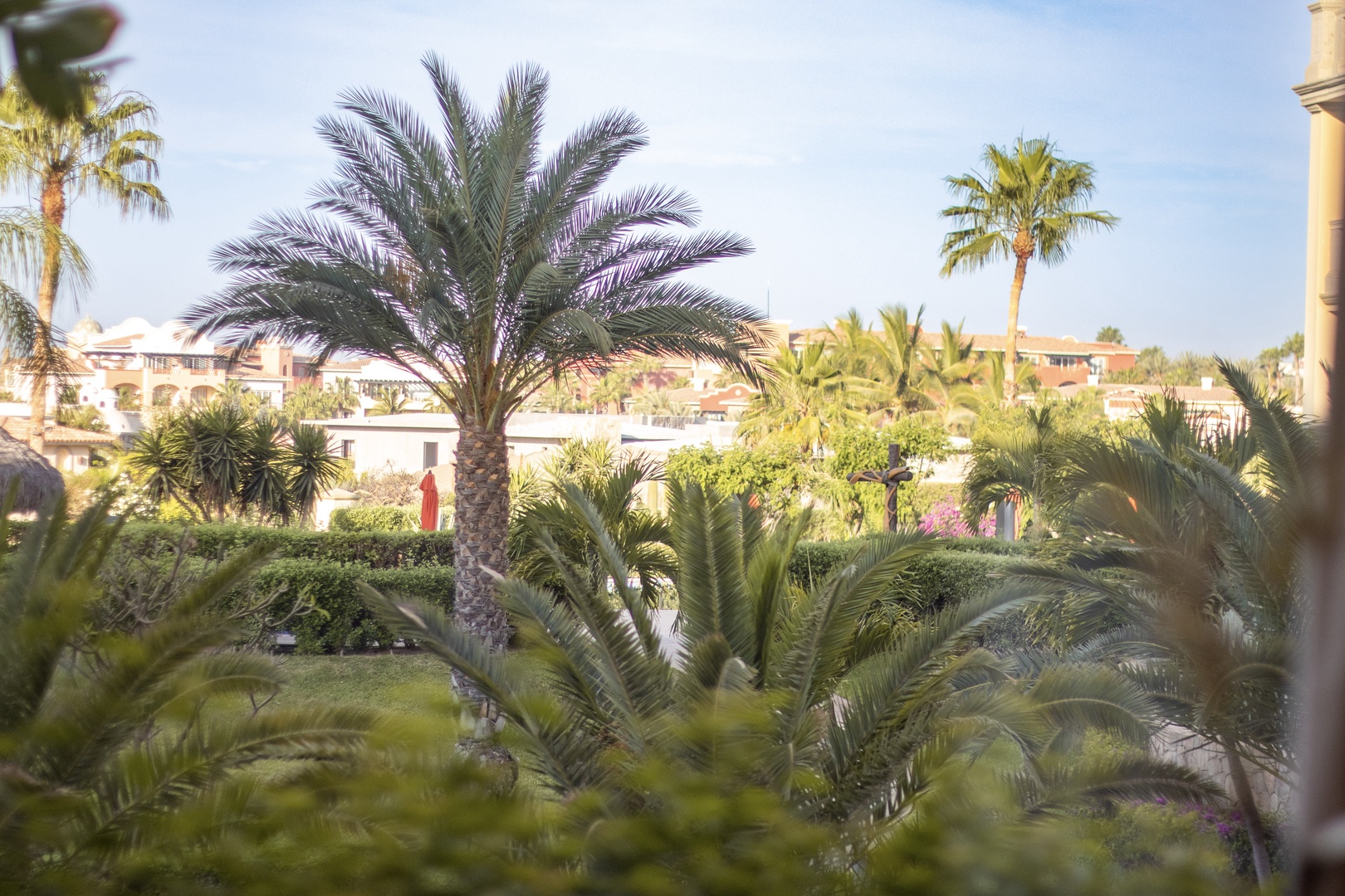 The property is nestled within lush tropical landscaping, featuring towering palms and manicured gardens that create a resort-style atmosphere in a peaceful setting.