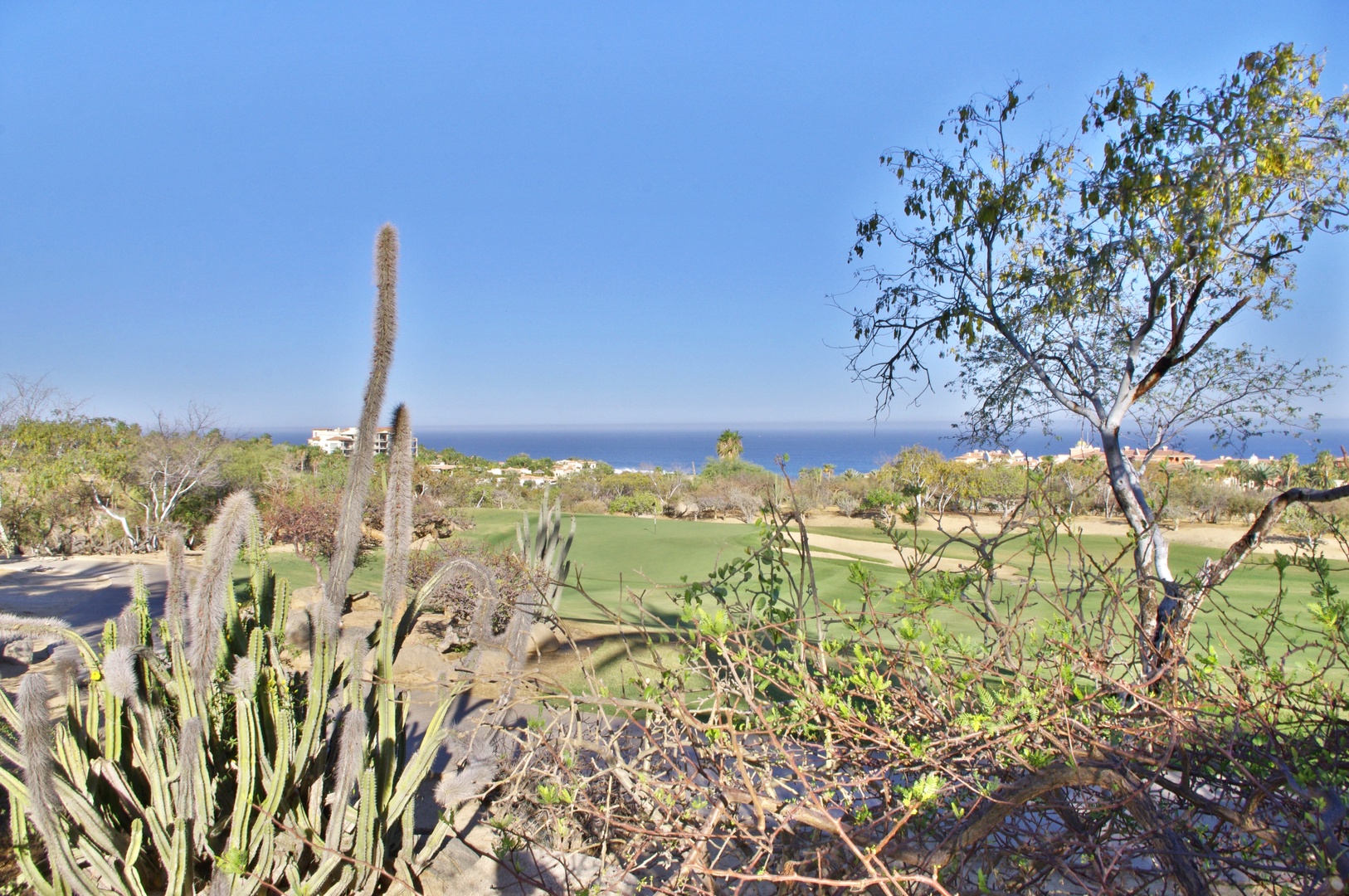 A scenic golf course framed by native cacti and desert vegetation stretches toward the blue ocean horizon, with rolling greens and white buildings dotting the coastal landscape.