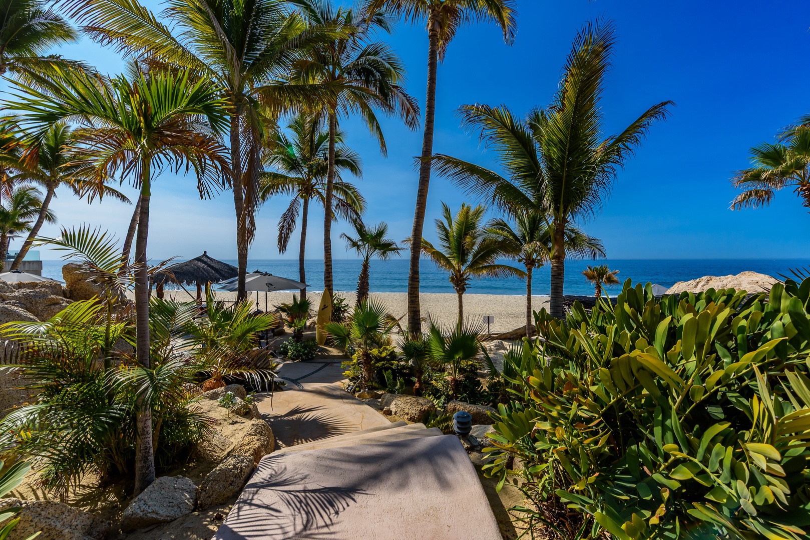 A winding pathway leads through lush tropical gardens, past swaying palms and vibrant greenery, directly to a pristine beachfront where soft sand meets turquoise waters.