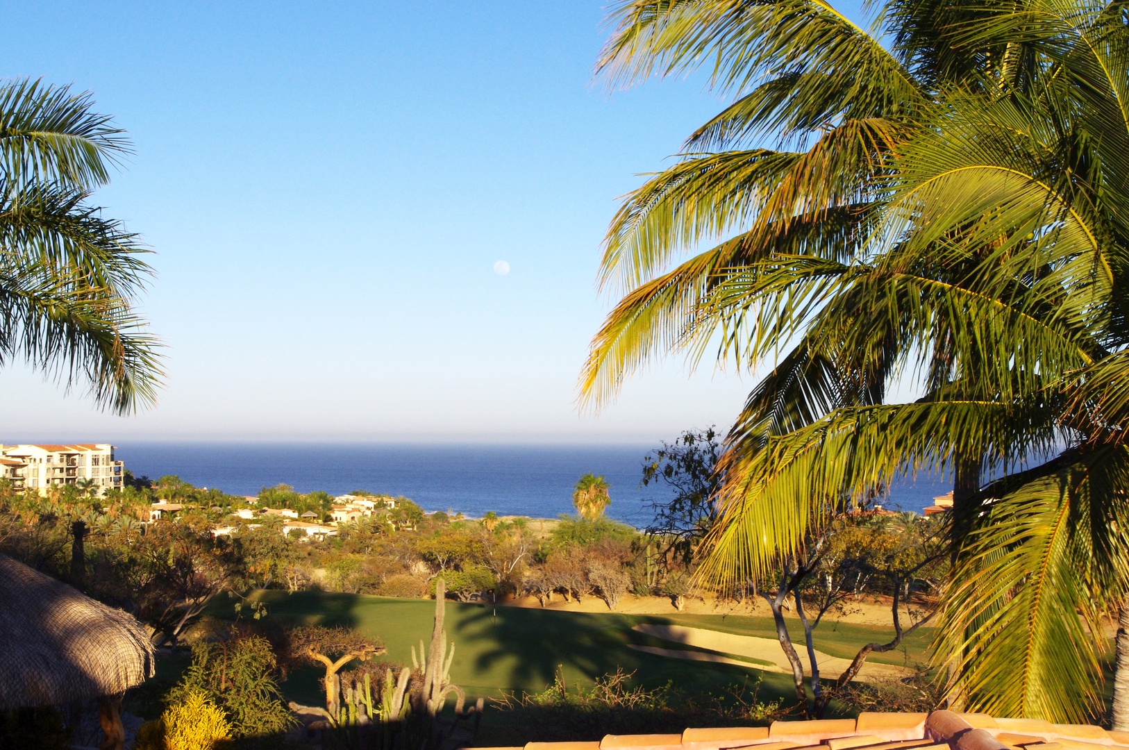 A coastal resort setting featuring manicured golf greens surrounded by lush tropical vegetation, with the sparkling sea visible on the horizon.