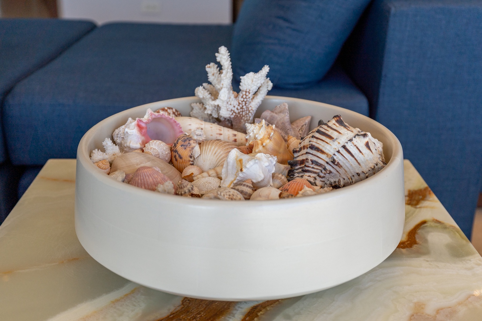 A coastal-inspired white bowl filled with shells and coral brings a touch of the ocean to your living space, adding natural charm to this serene seating area.