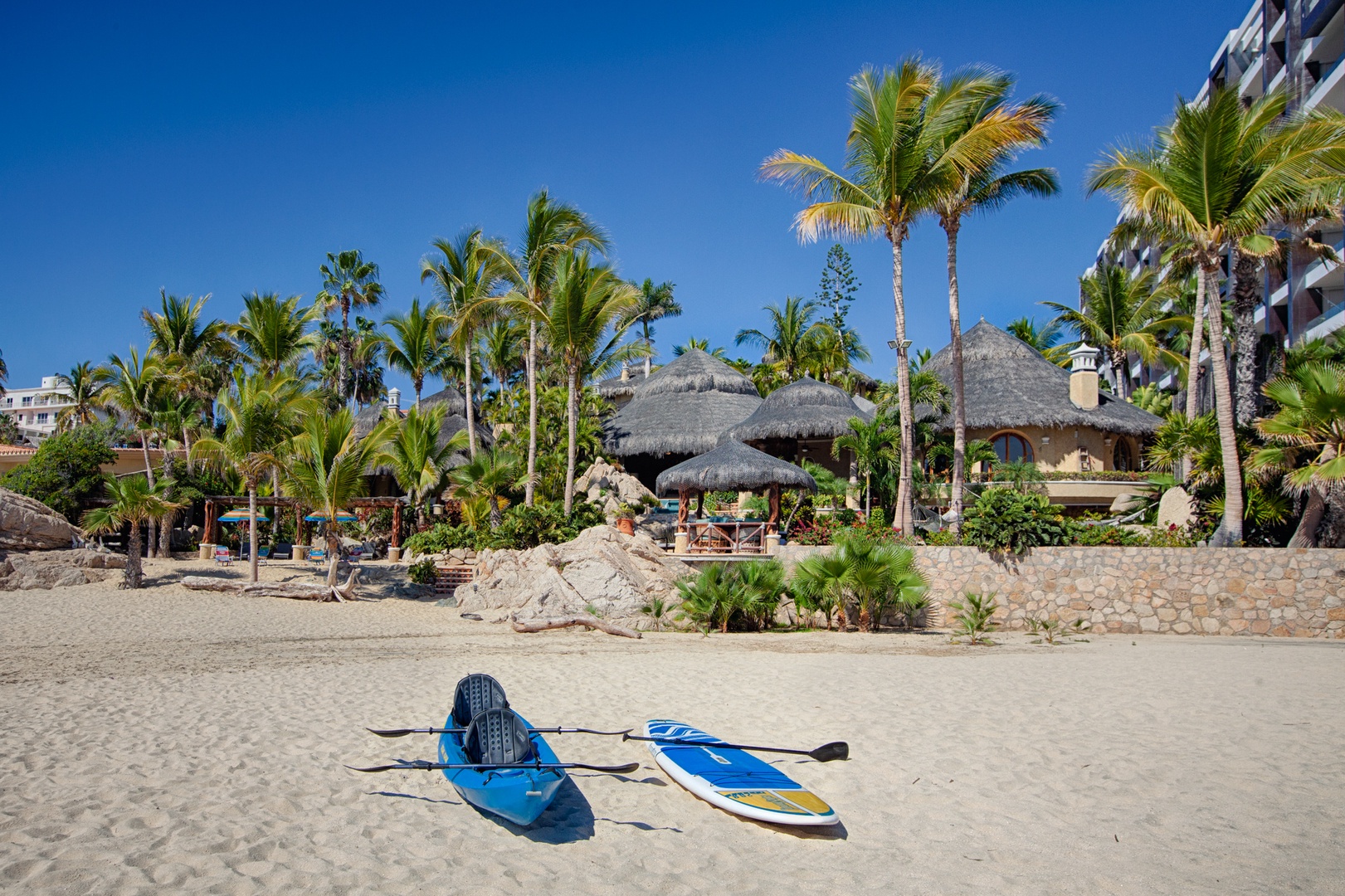 Pristine beach setting with tropical palms and thatched-roof structures creating an authentic coastal resort atmosphere.