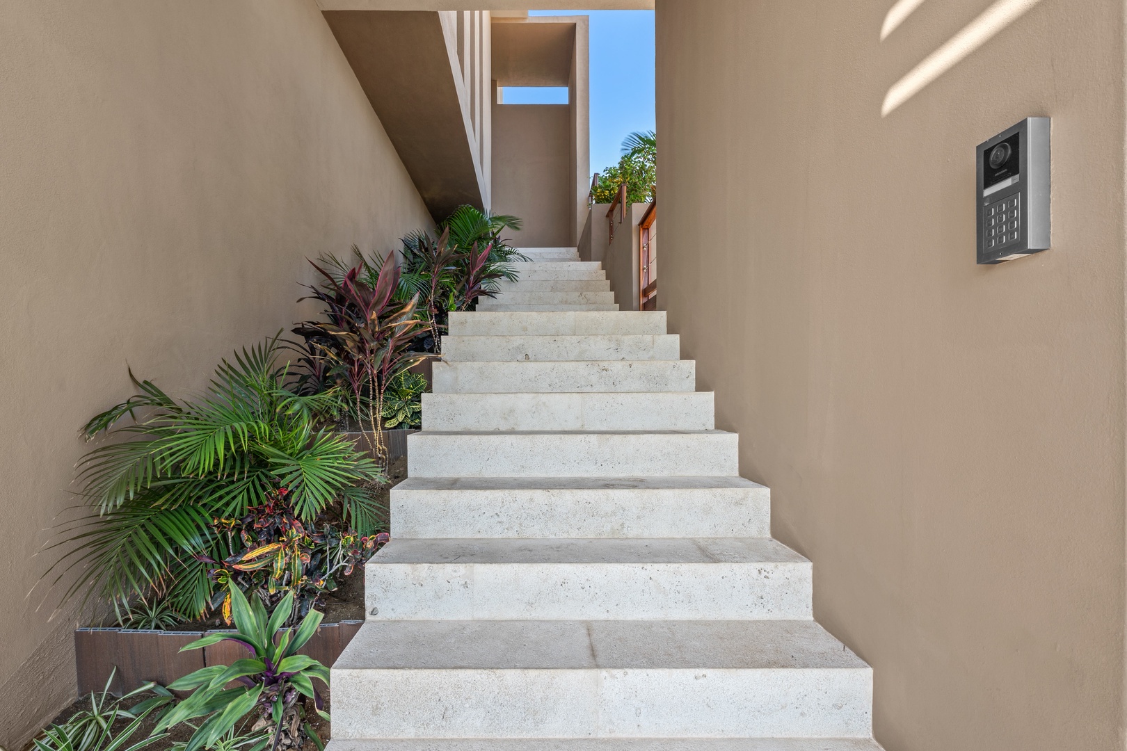 Modern entrance features sleek concrete stairs framed by warm beige walls and lush tropical plants, leading to bright blue skies above.