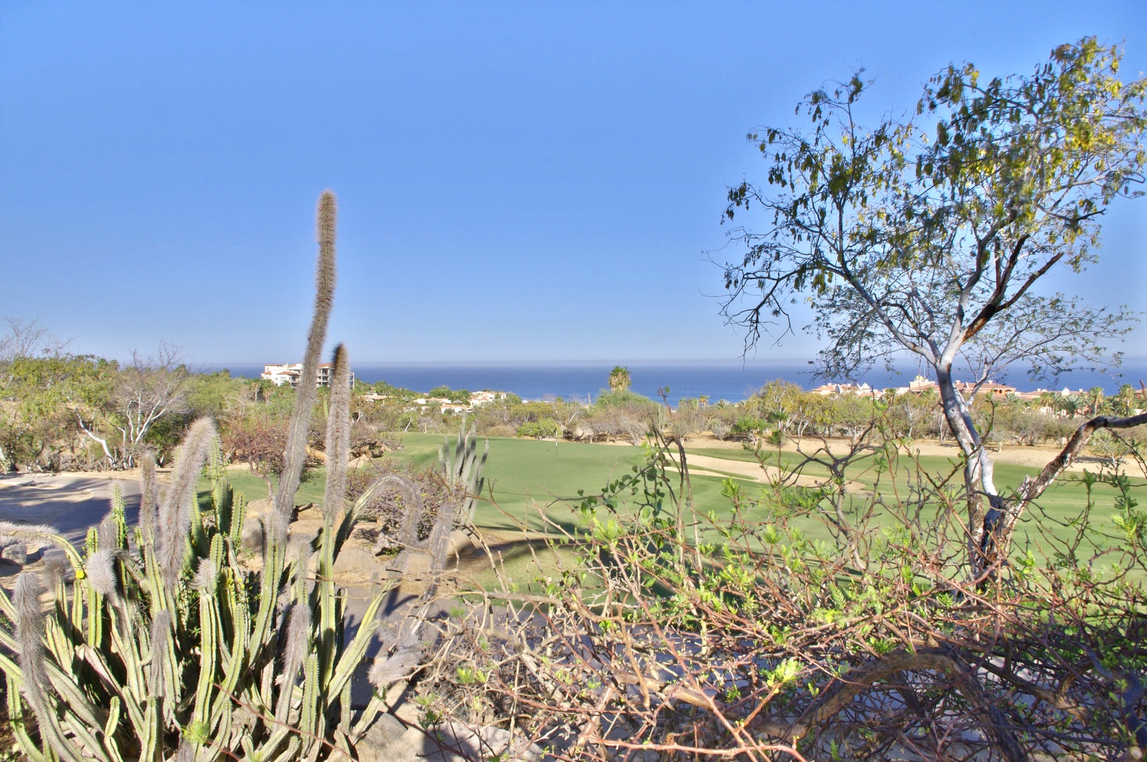 The property overlooks a pristine golf course with desert cacti in the foreground, rolling greens, and distant ocean views under clear blue skies.
