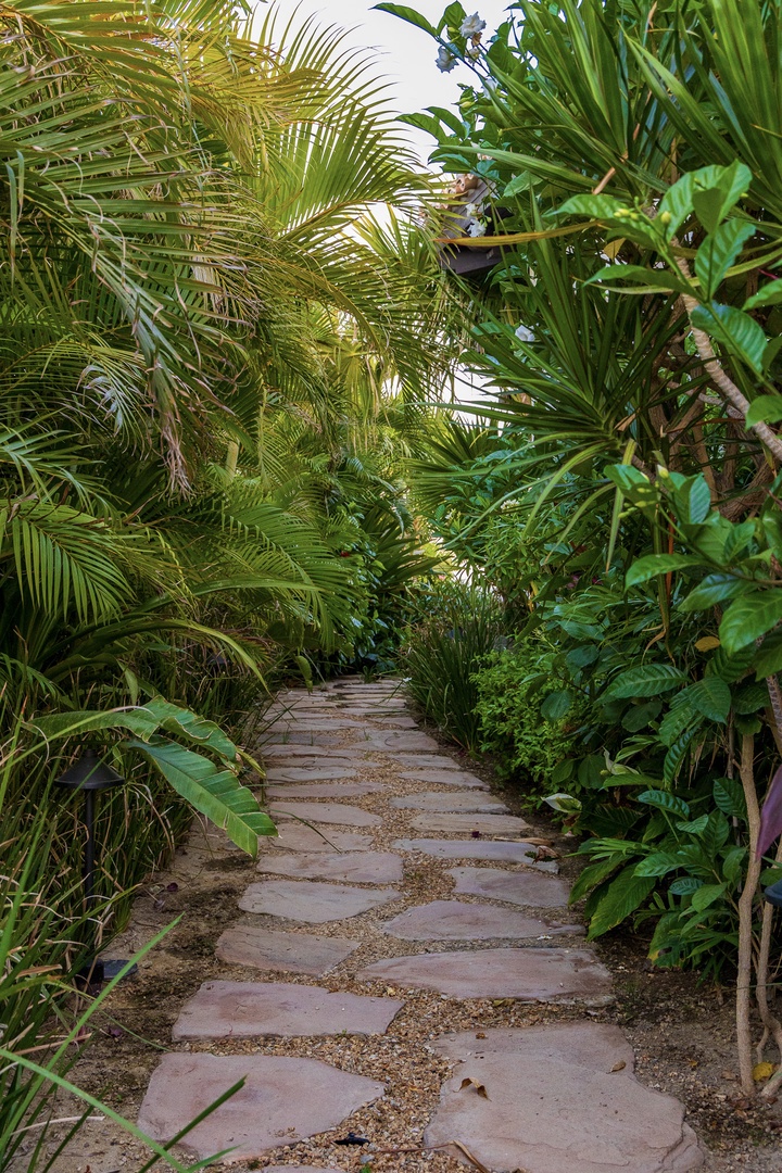 A tranquil stone pathway winds through lush tropical gardens, inviting you into a peaceful, verdant retreat where palm fronds and exotic greenery create your own private oasis.