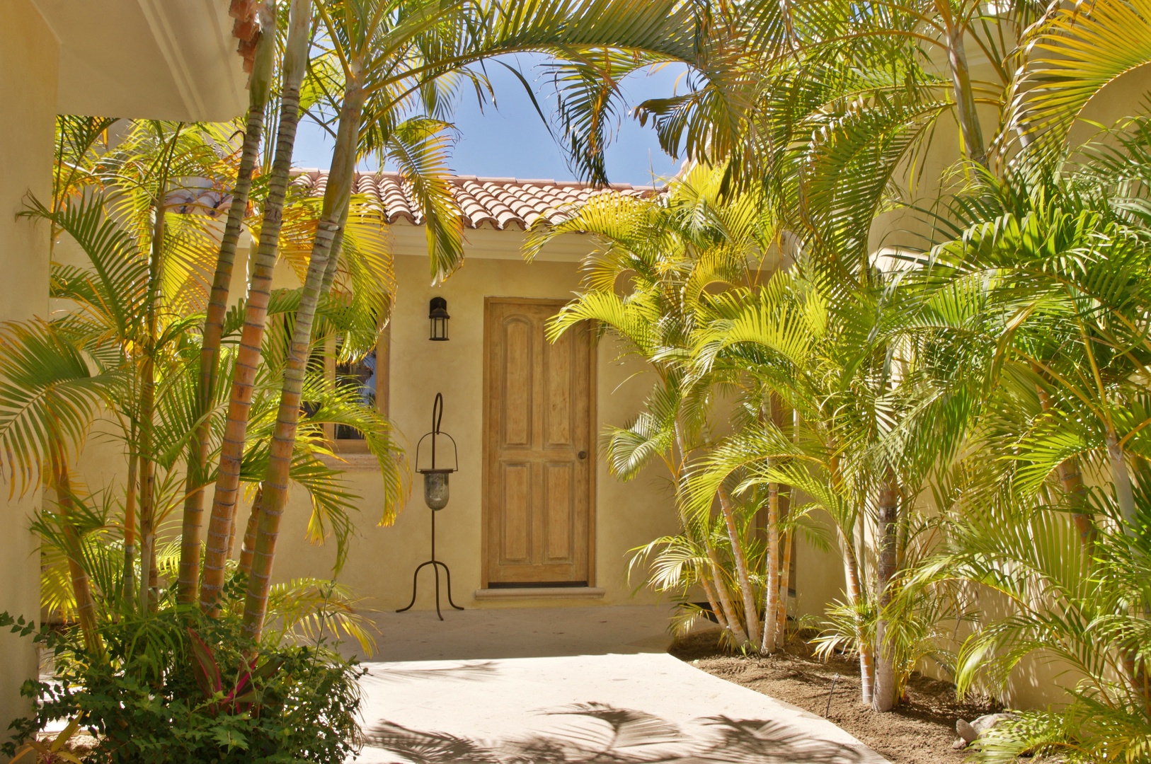 A tropical courtyard frames a welcoming entrance, where sunlight filters through lush palms and terracotta rooftops create a warm, tranquil atmosphere.