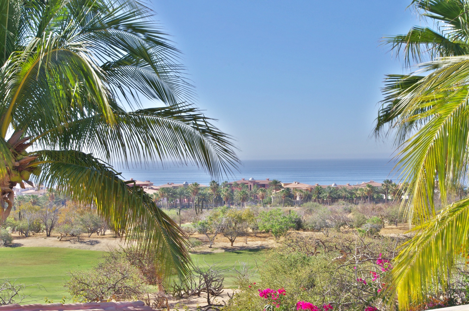 Sweeping coastal vista framed by swaying palms overlooks manicured greens and resort buildings near the shoreline, showcasing the tropical setting and nearby beach access.