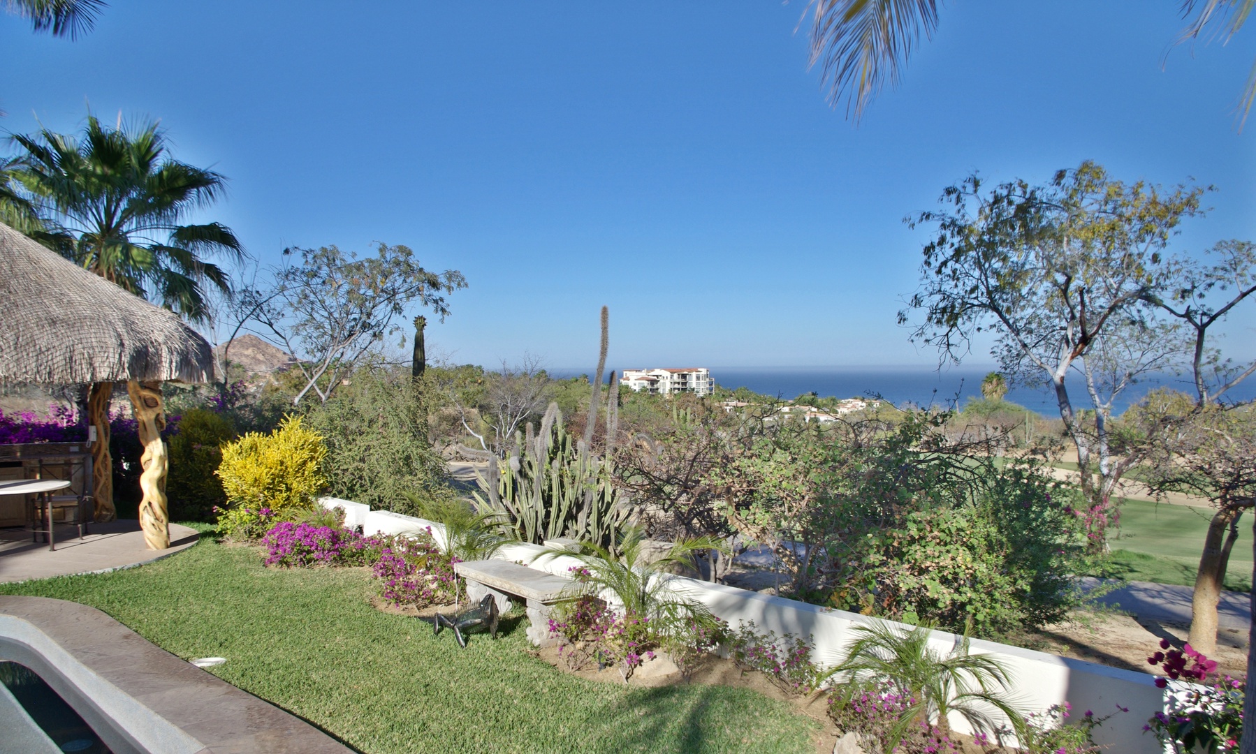 Property gardens meet endless ocean horizon, where tropical landscaping and desert flora frame views of the distant sea and surrounding coastal terrain.