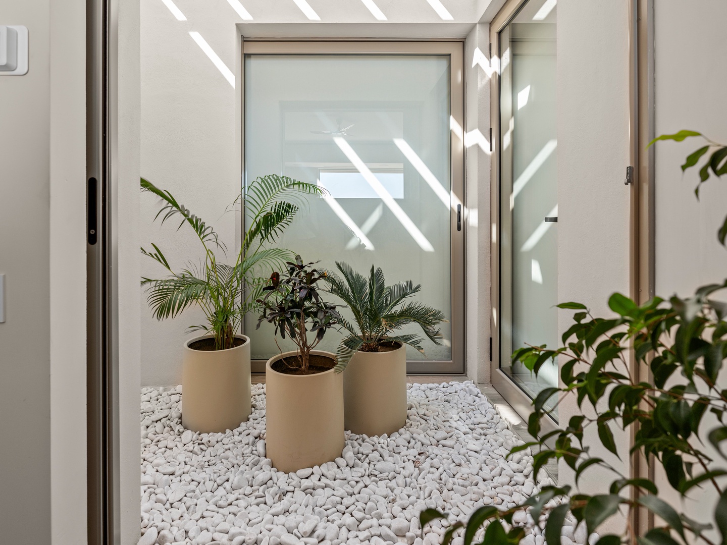 A tranquil interior courtyard features lush potted palms set on smooth white pebbles, with natural light streaming through modern glass doors—your serene retreat awaits.
