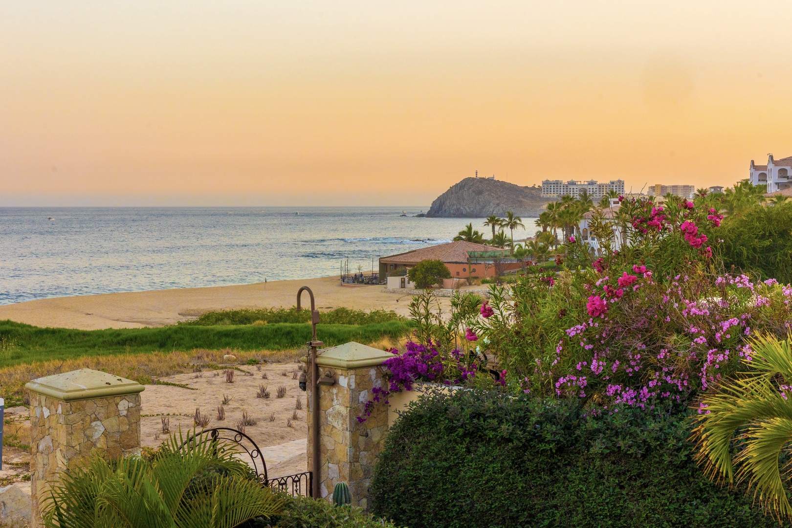 A golden-hour view overlooking a tranquil beach framed by vibrant blooms, with distant hills completing the scenic coastal backdrop.