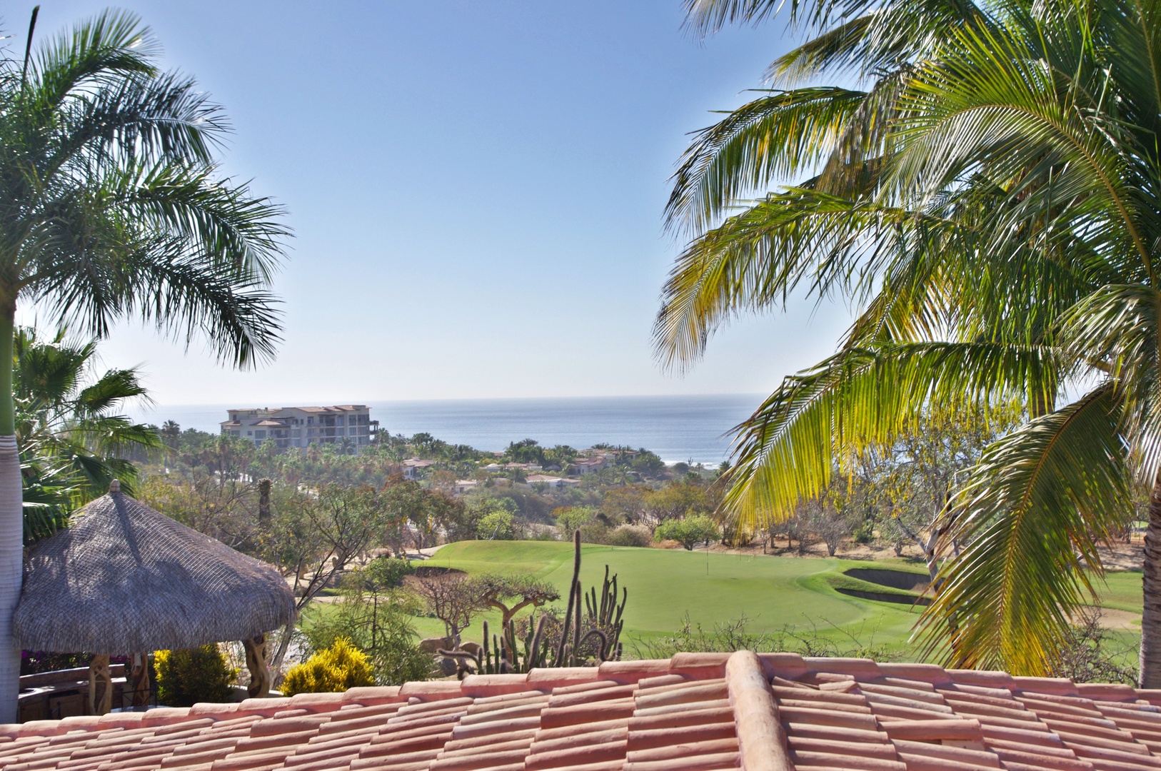 A scenic view overlooking lush golf greens, swaying palms, and the shimmering ocean beyond—a tranquil backdrop framing your tropical getaway.