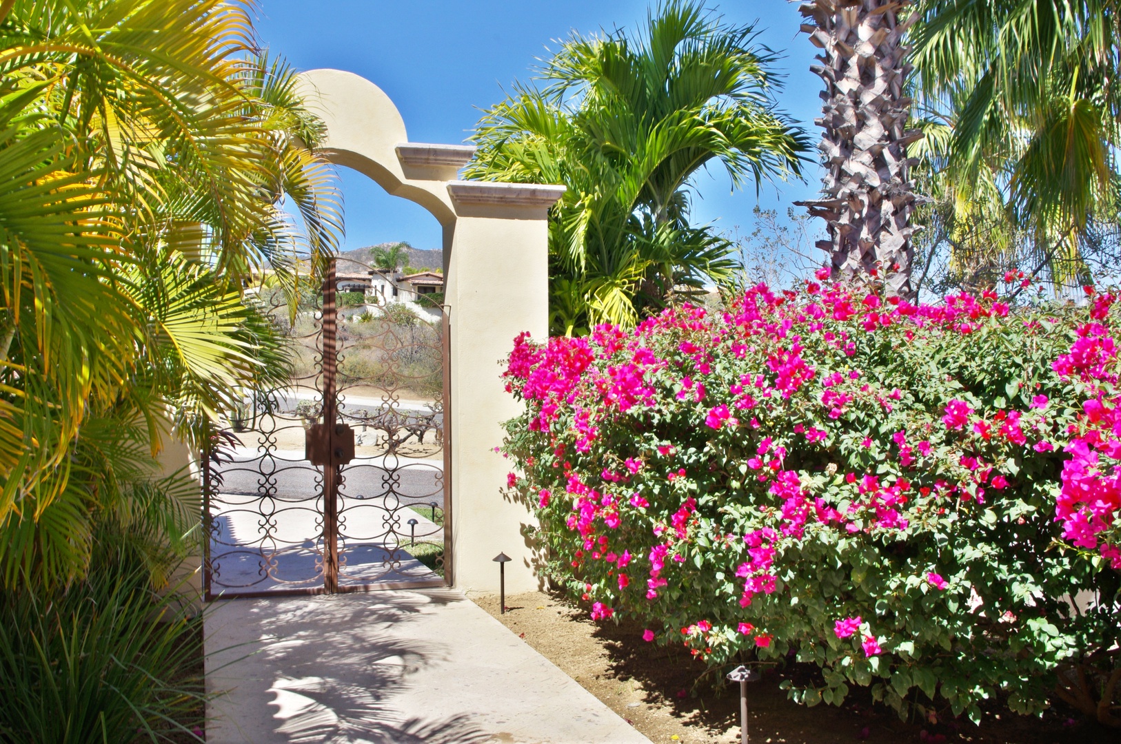 A welcoming entrance framed by vibrant bougainvillea and lush tropical palms sets the tone for your peaceful desert retreat. The charming archway leads to sunny days ahead.