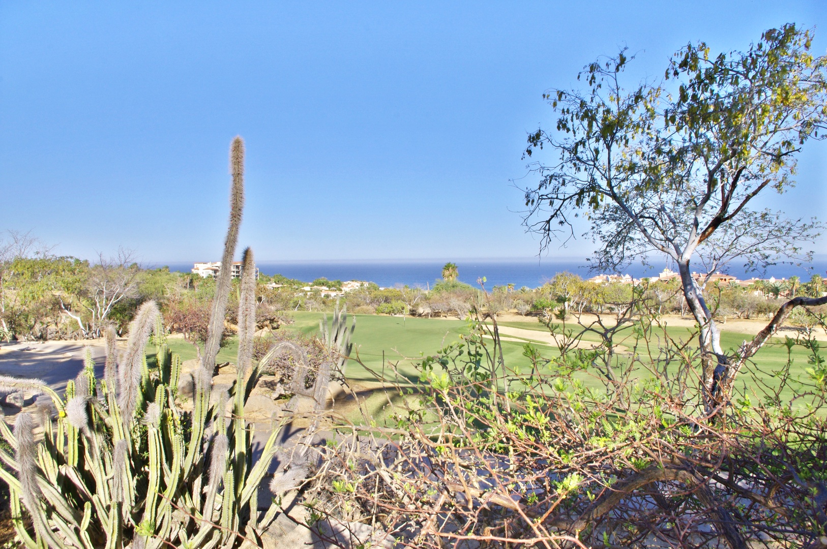 The property overlooks a pristine golf course set against distant ocean views, framed by mature desert vegetation and cacti, offering a serene coastal location.