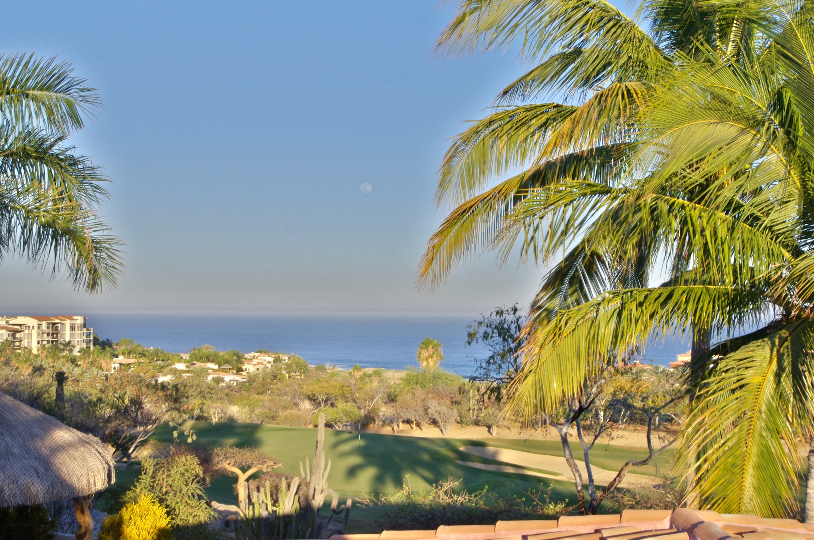 Coastal property featuring tropical landscaping, panoramic ocean vistas, and expansive green spaces framed by swaying palms and distant residential hillsides.