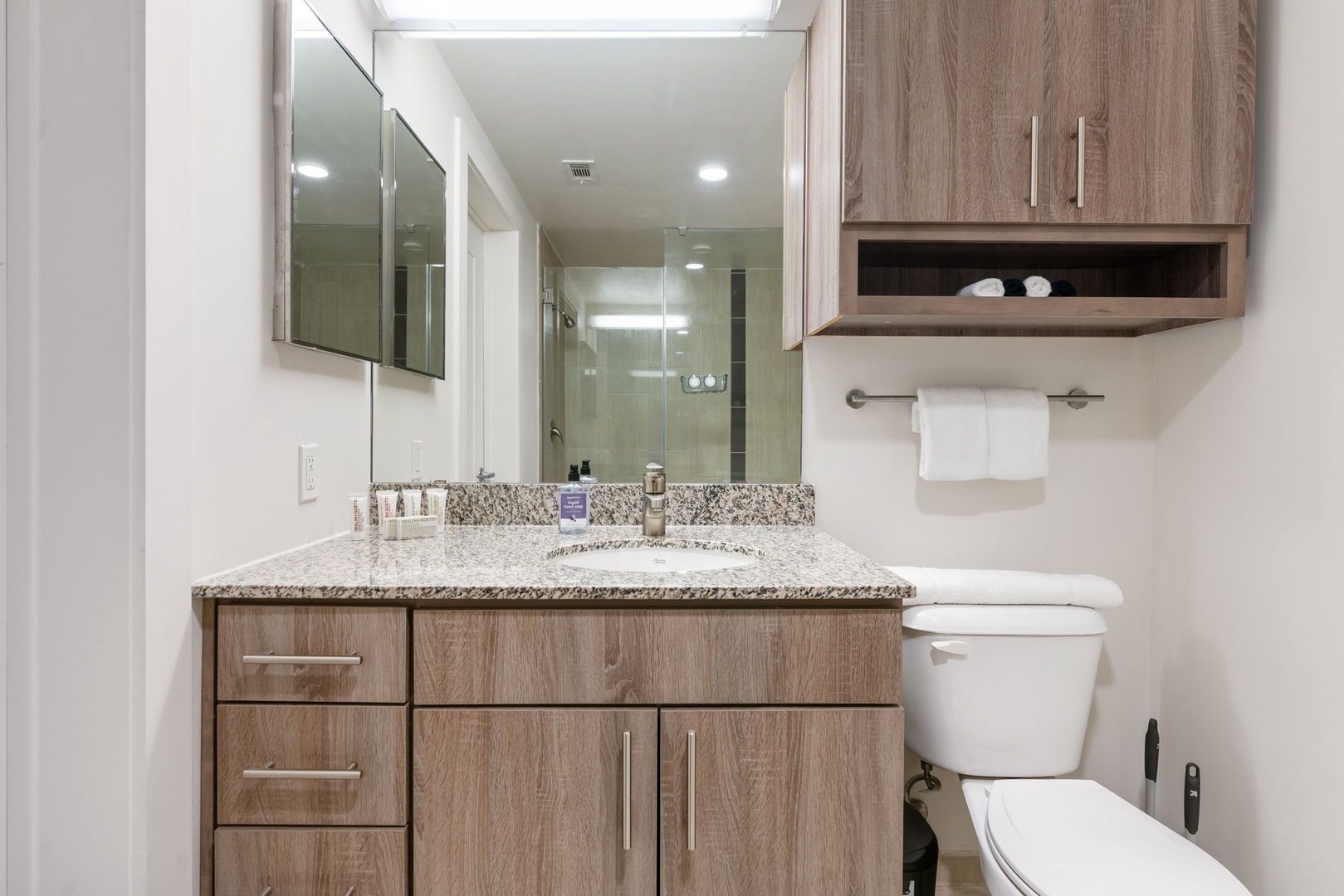 3550 Main-Apt 5123-Houston-Houston-034