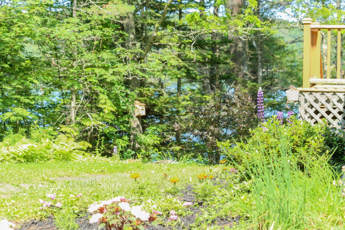 A peaceful lakefront property nestled among vibrant summer greenery, with a private deck overlooking tranquil waters and lush natural surroundings.