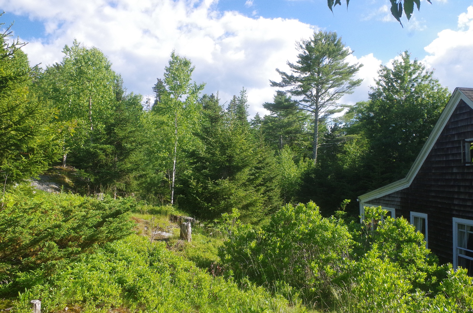 Green Pastures Property