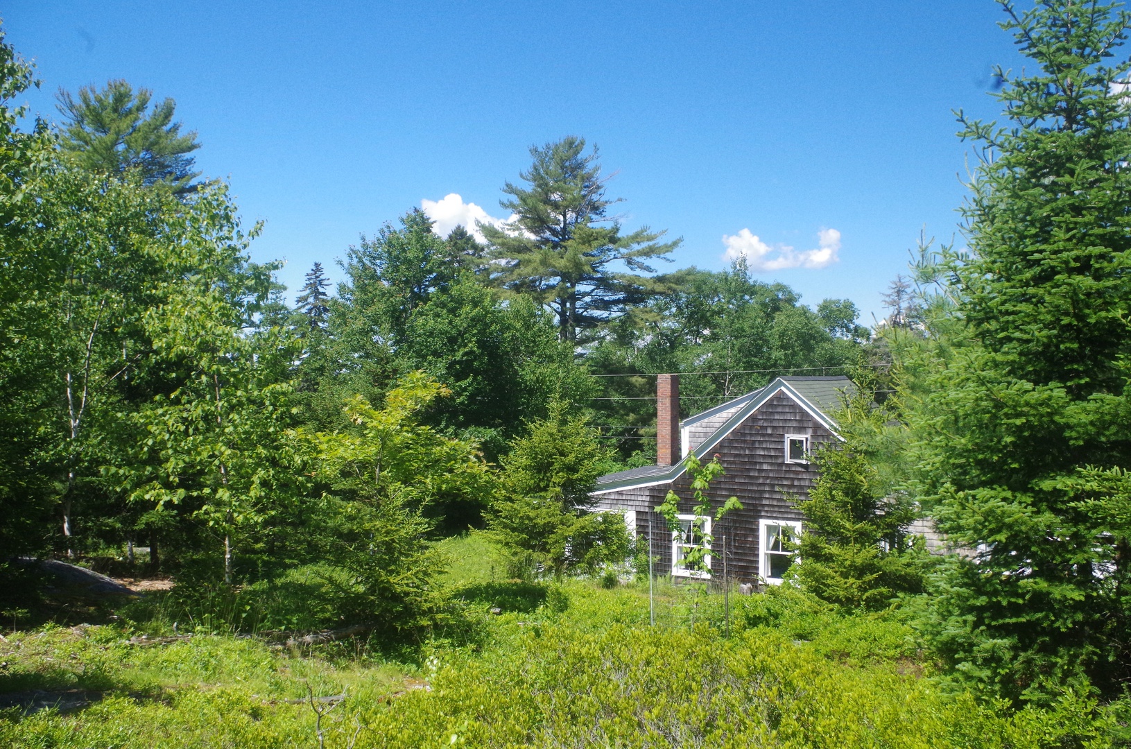Green Pastures Exterior - Back of Cottage