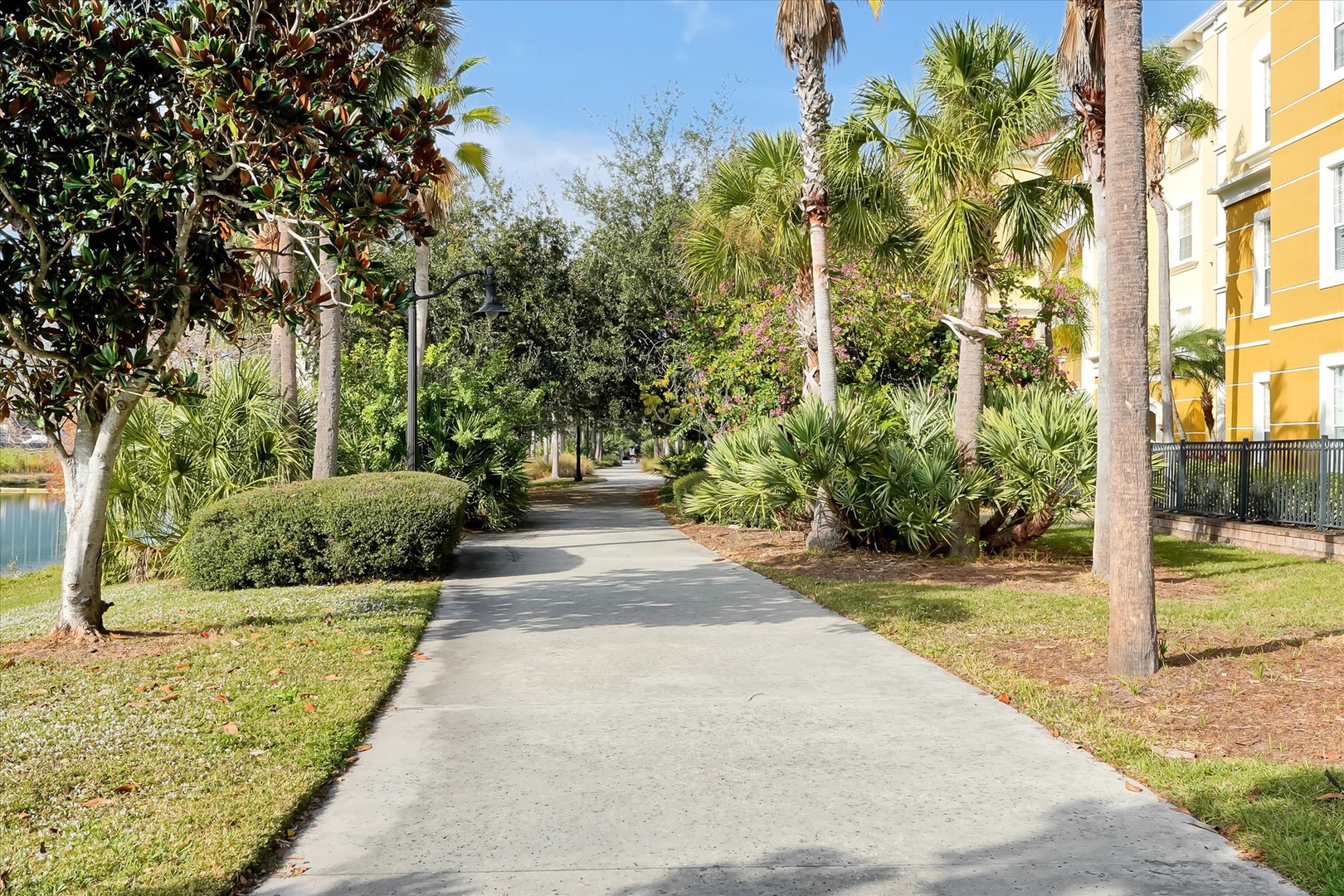Tropical palm-lined walking path leads through beautifully landscaped grounds toward the property entrance.