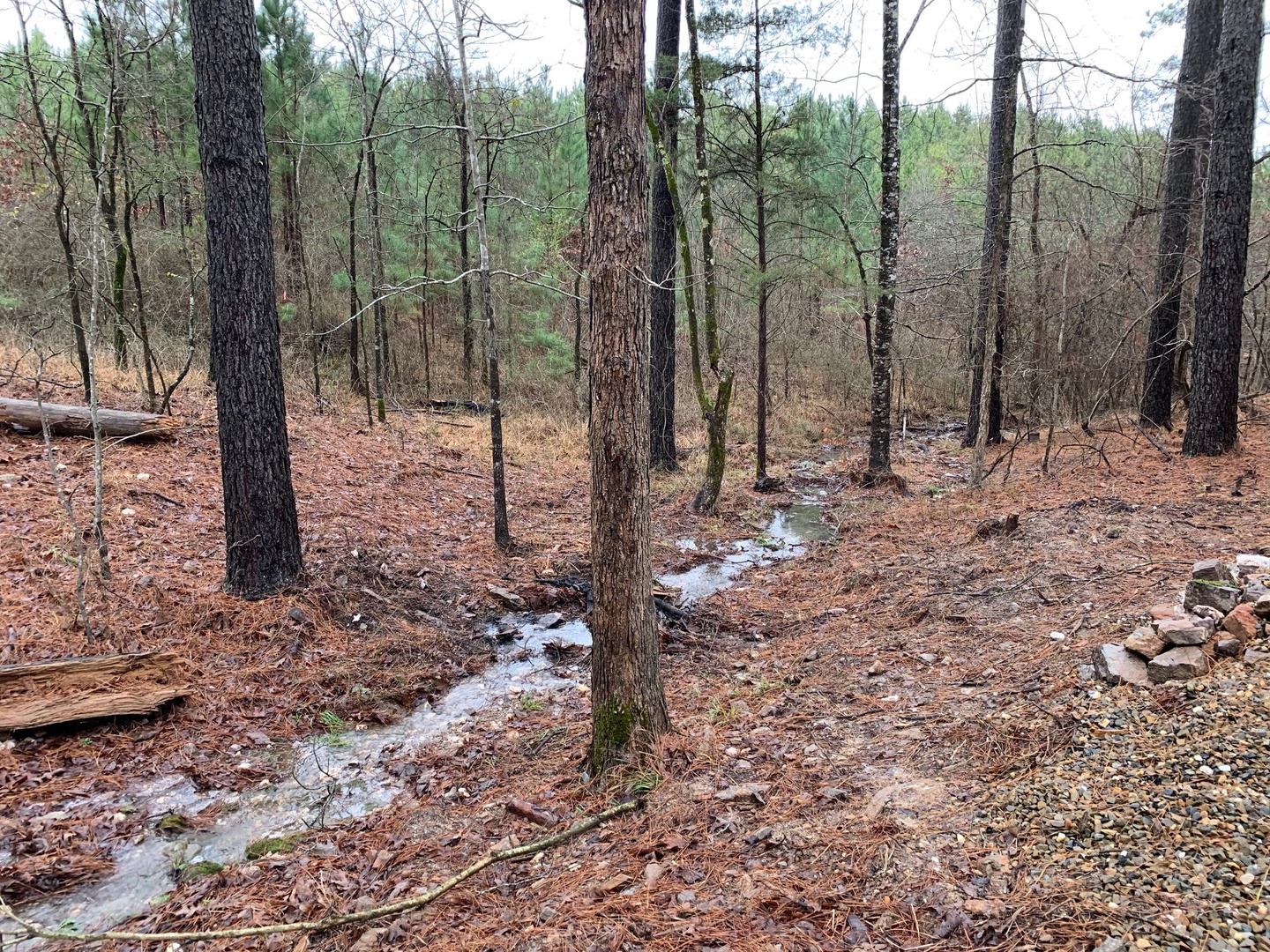 Seasonal creek runs through the property after a good rain