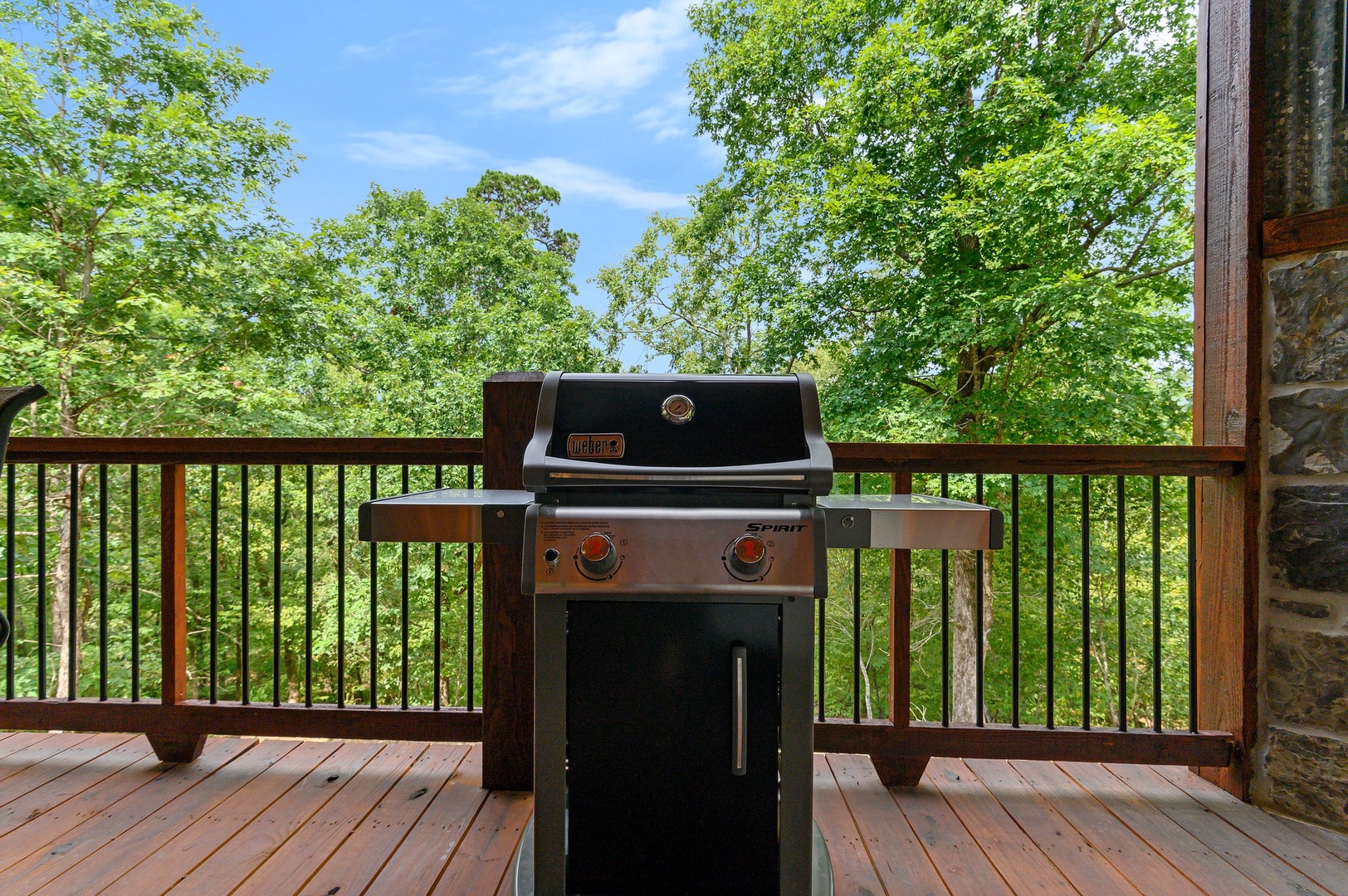 Gas grill for meats and delicious veggies