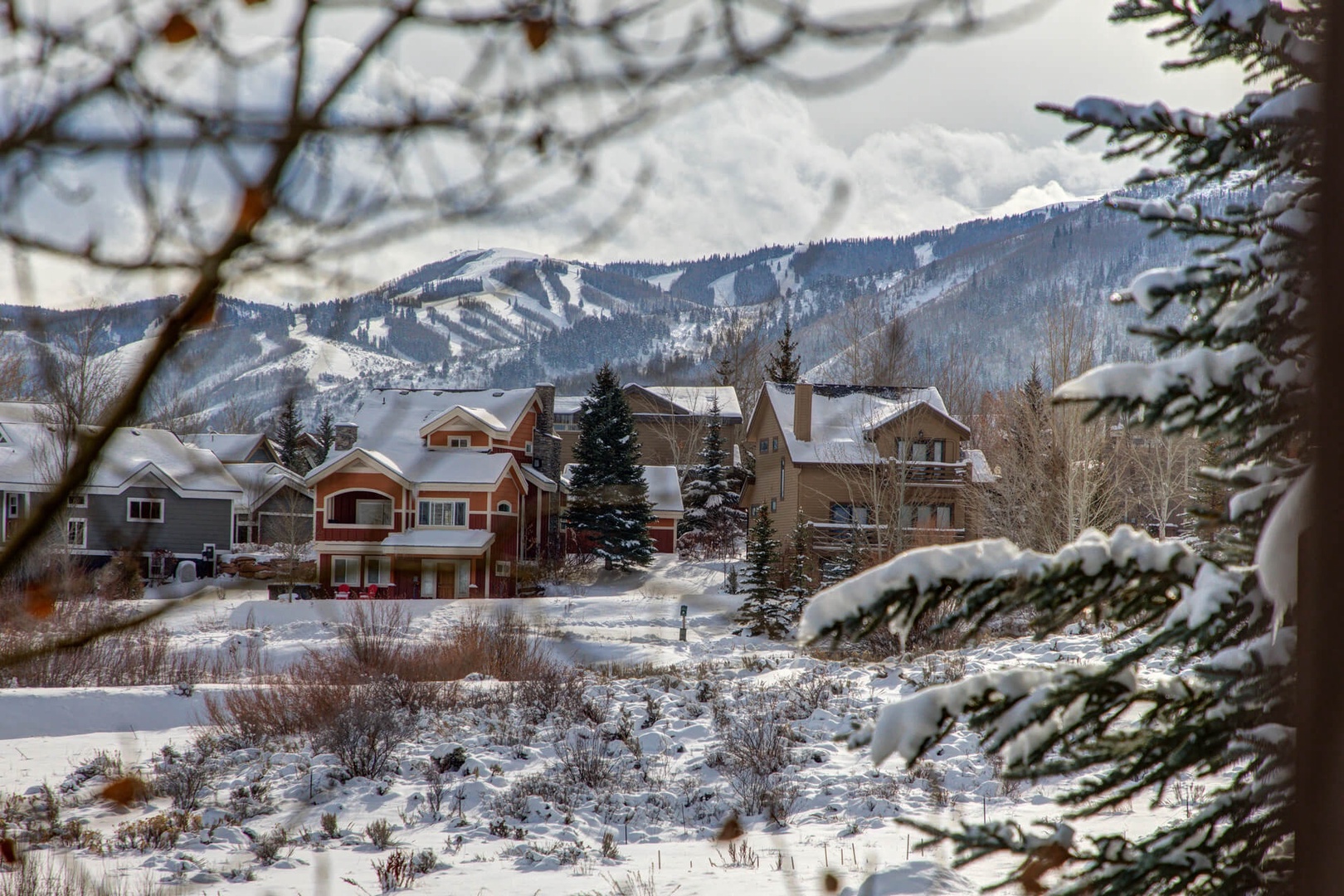 Bear Hollow 5639 by Moose Management_48