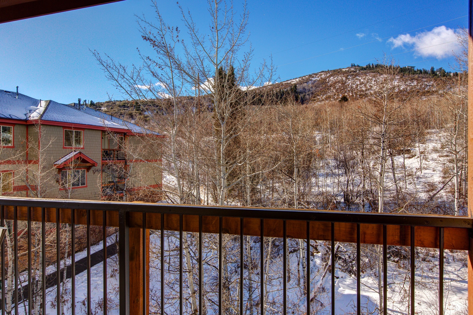 Bear Hollow 3401 by Moose Management Vacation Rentals