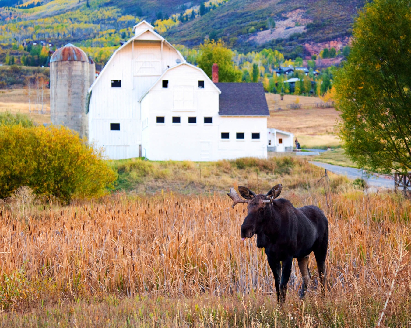 Silver Creek Village 6627