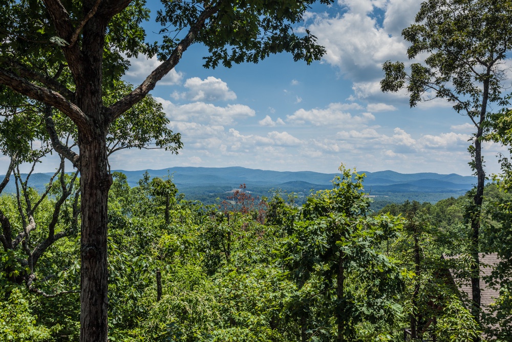 Mountain Seasonal Views