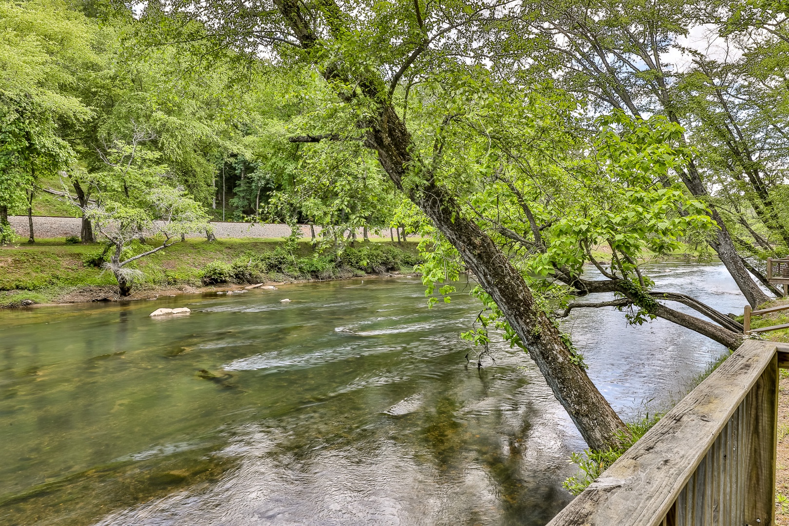 Toccoa River