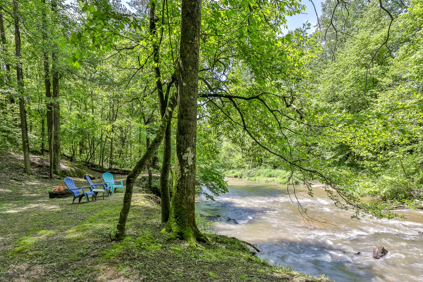 Water, Wines in the Pines