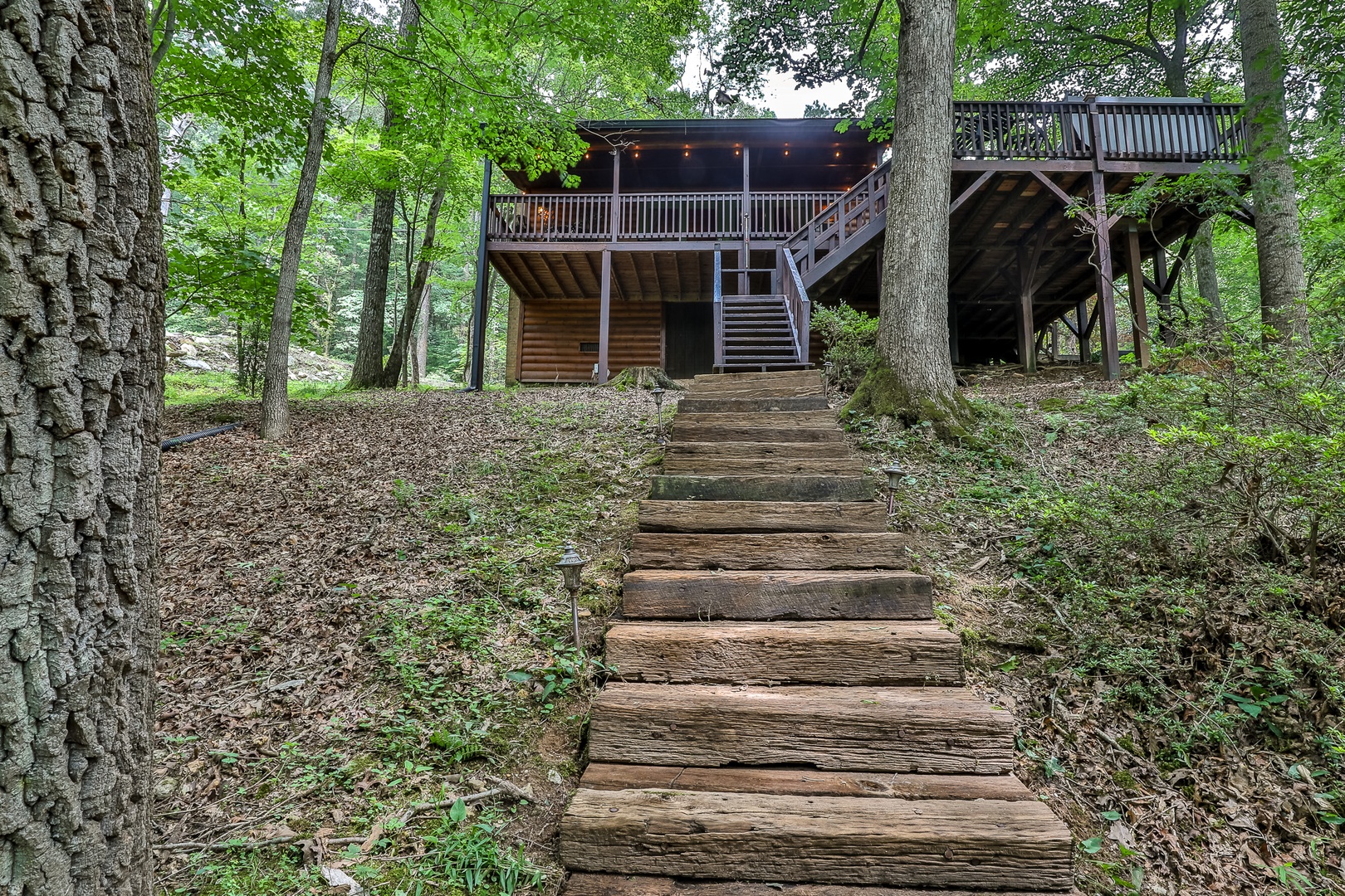 View of cabin from riverside