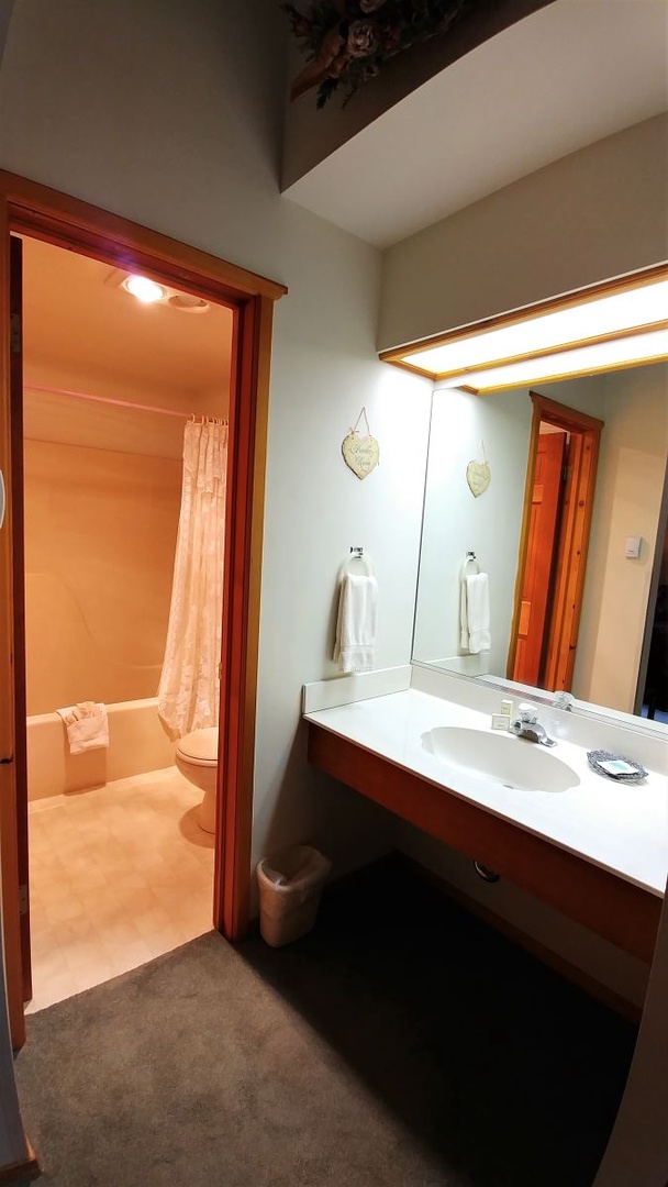 Bathroom 1